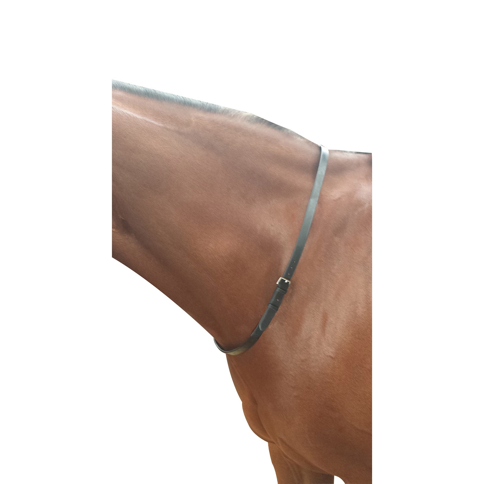 Kincade Neck Strap Briglie & redini