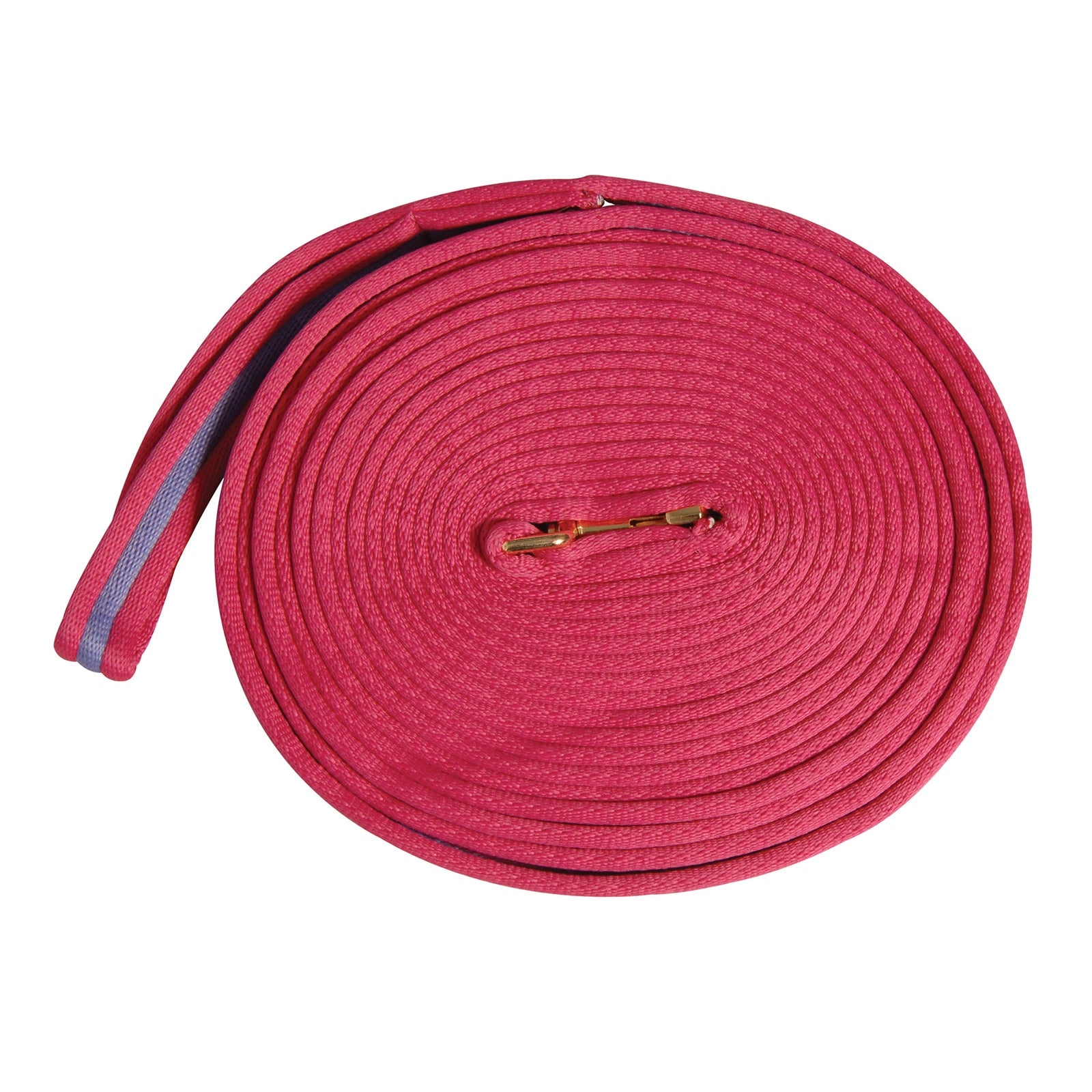 Kincade Two Tone Padded Lunging Rein 8m Addestramento del cavallo