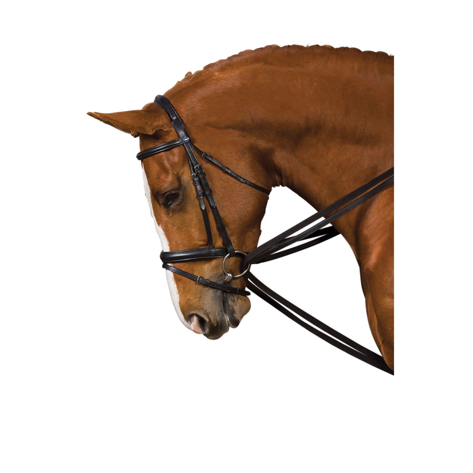Kincade Web Draw Reins Briglie & redini