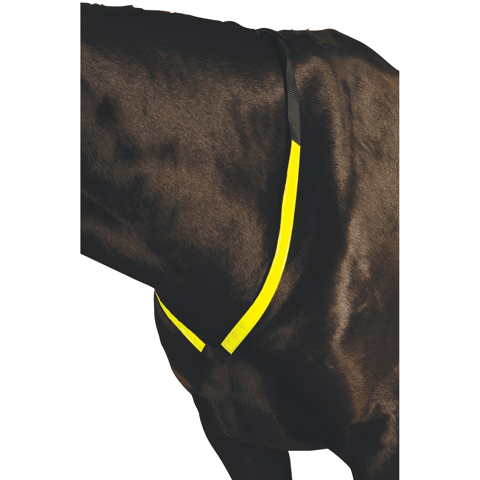 Roma Reflective Breastplate Briglie & redini
