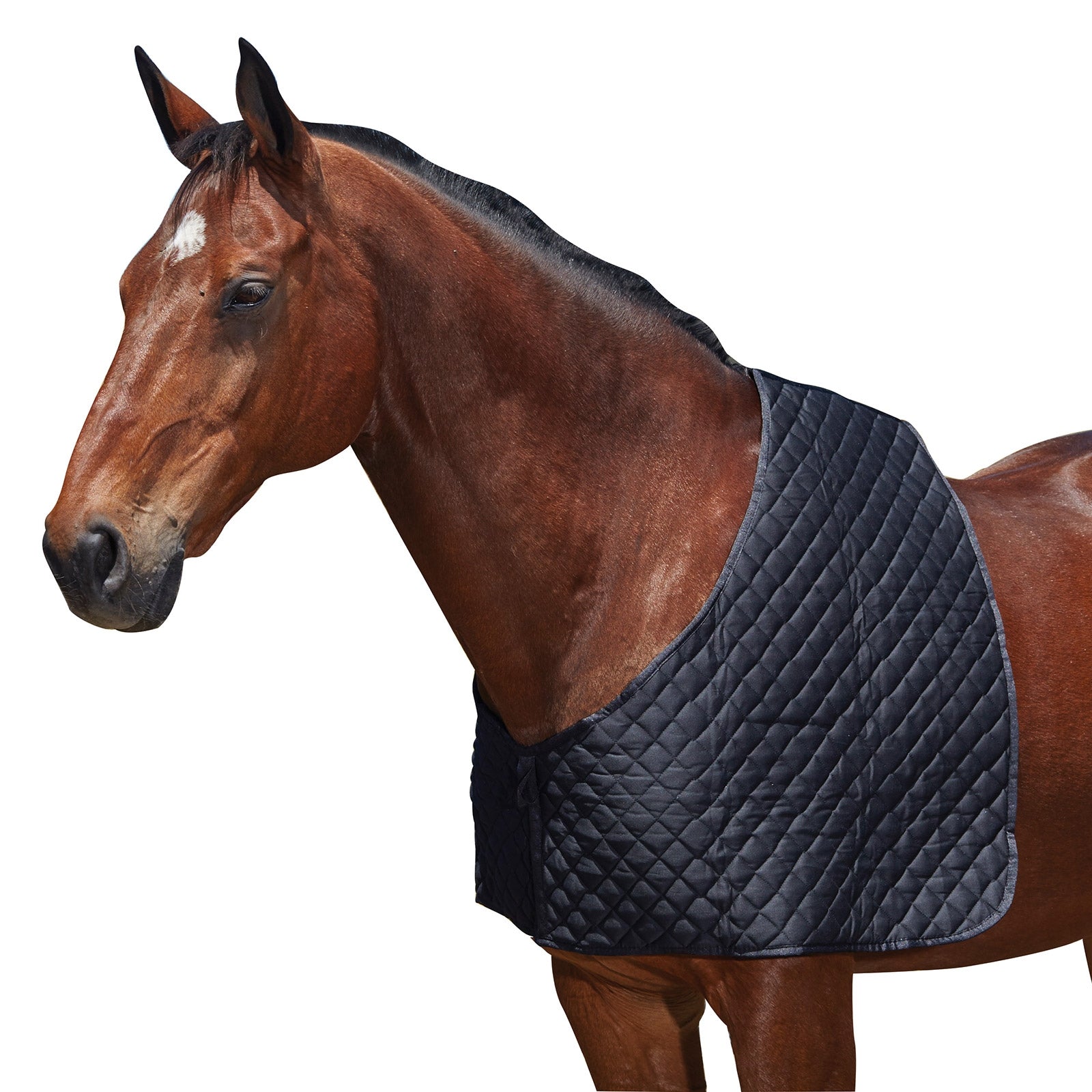 HORZE Protezione Per Collo Nevada - Black, Taglia M - Per Coperta Impermeabile - 4