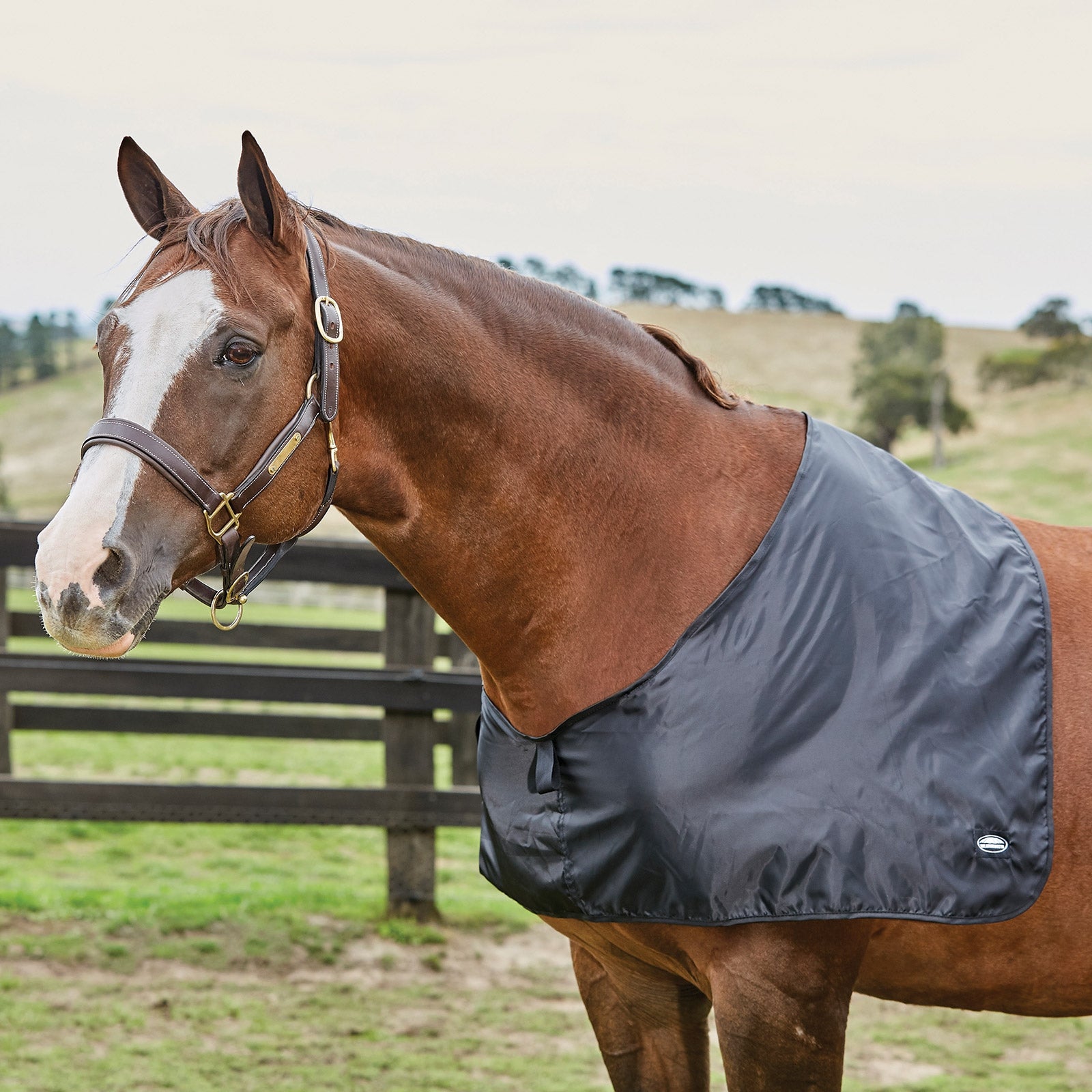Weatherbeeta Protezione per le spalle in raso Weatherbeeta Coperte per cavalli