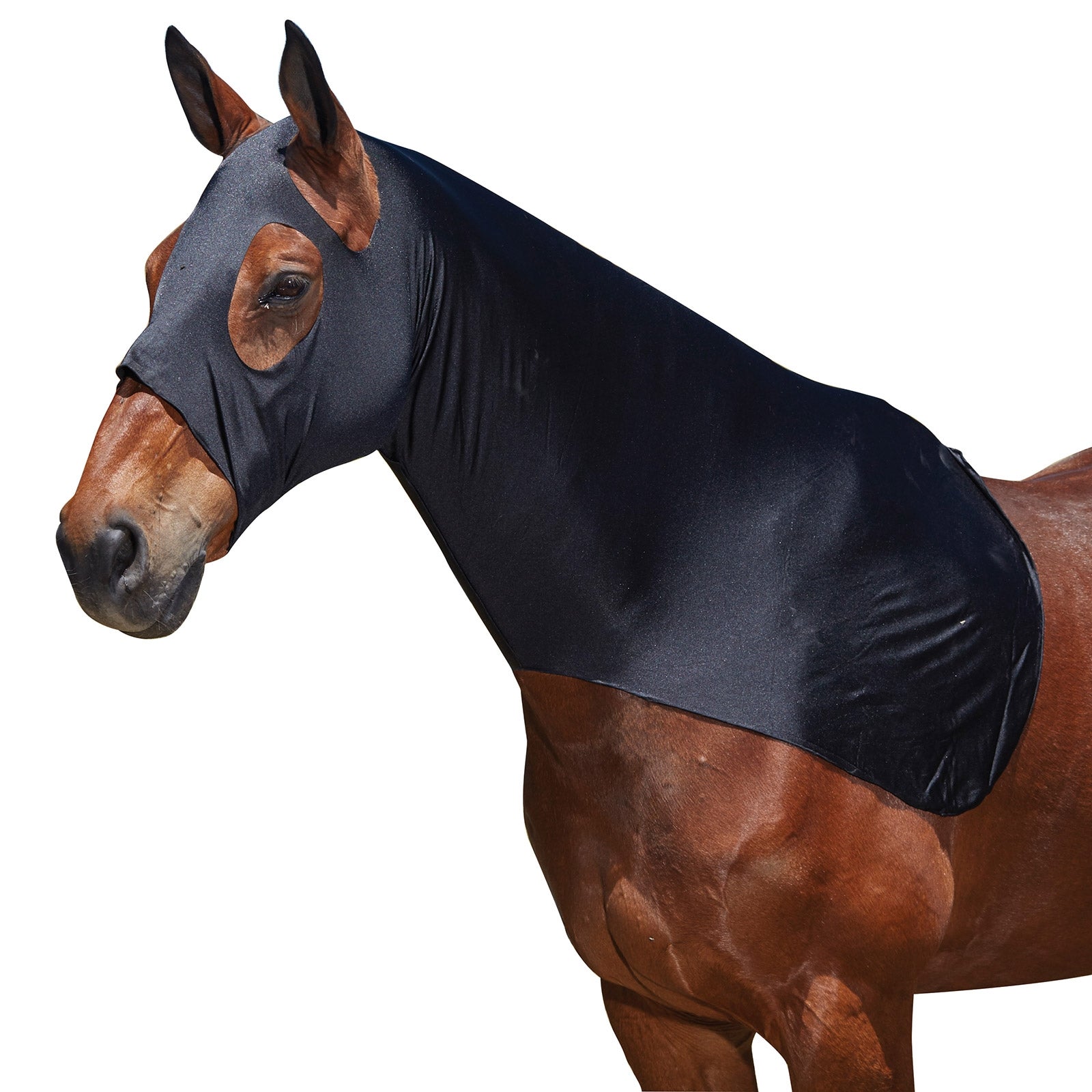 Weatherbeeta Cappuccio elasticizzato Weatherbeeta Coperte per cavalli
