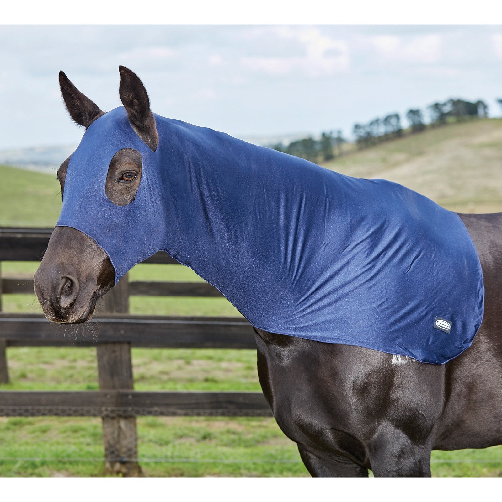 Weatherbeeta Cappuccio elasticizzato Weatherbeeta Coperte per cavalli