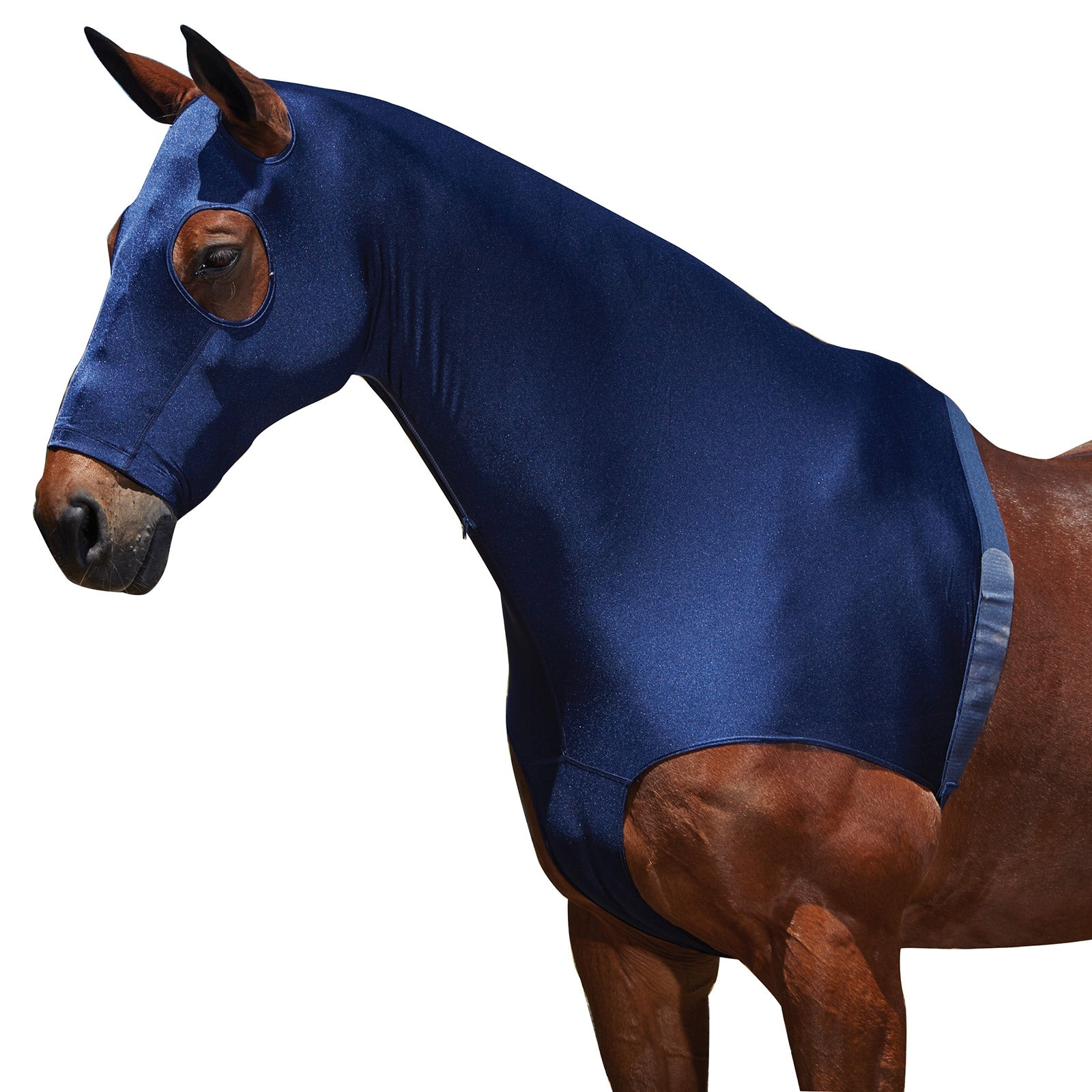 Weatherbeeta Cappuccio protettivo in tessuto elasticizzato con zip Coperte per cavalli