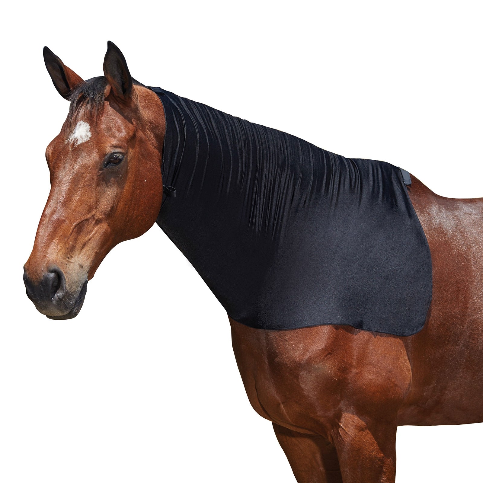 Weatherbeeta Coperta elastica per il collo Weatherbeeta Coperte per cavalli