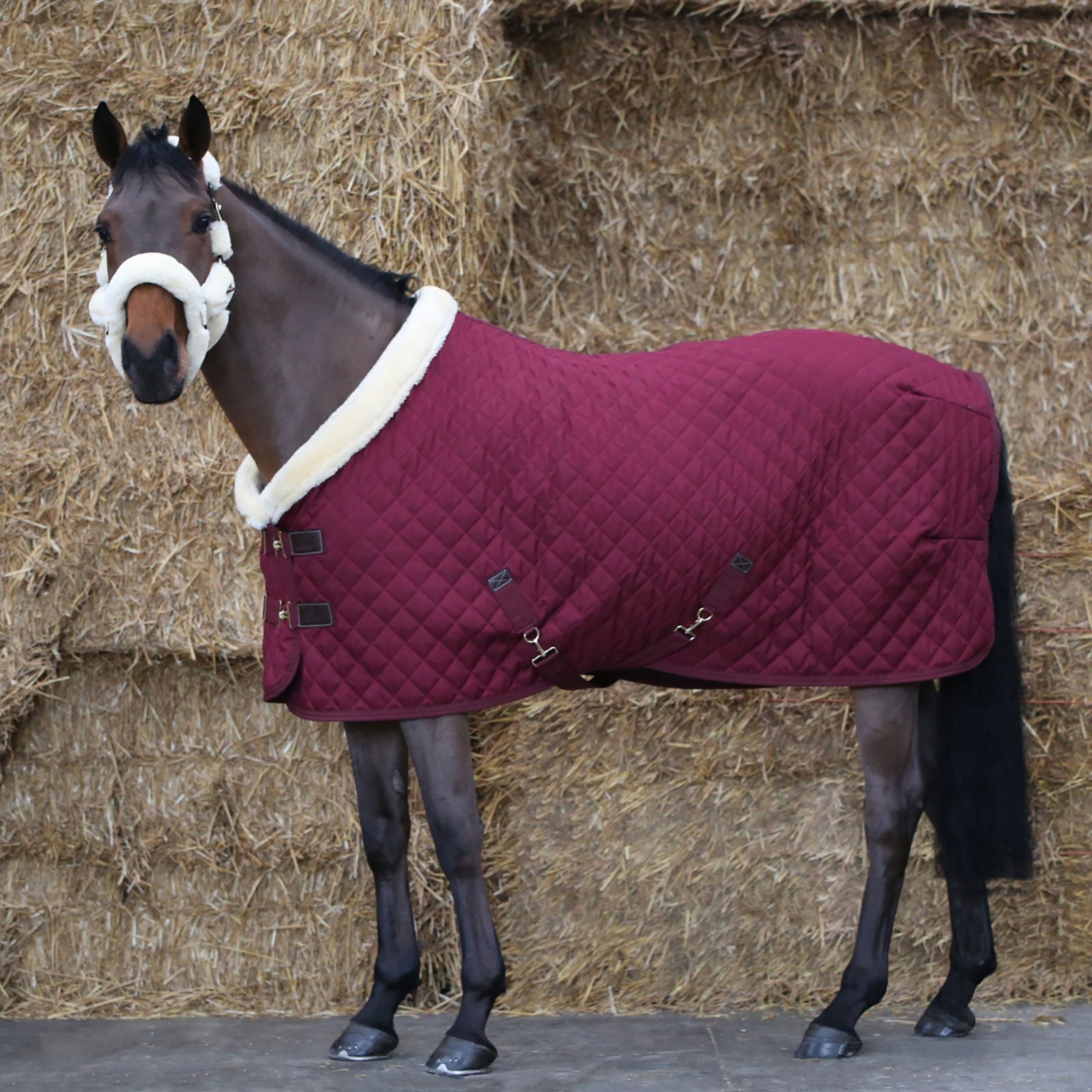 Kentucky Horsewear Tappeto Show, 160 g Coperte per cavalli