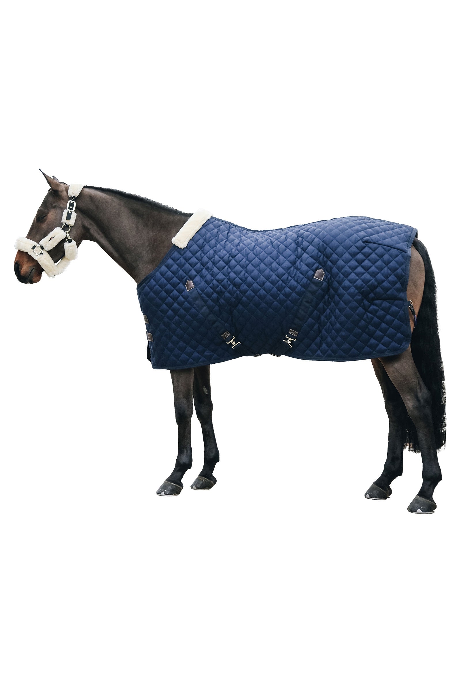 Kentucky Horsewear , Coperta da scuderia 400 gr Coperte per cavalli