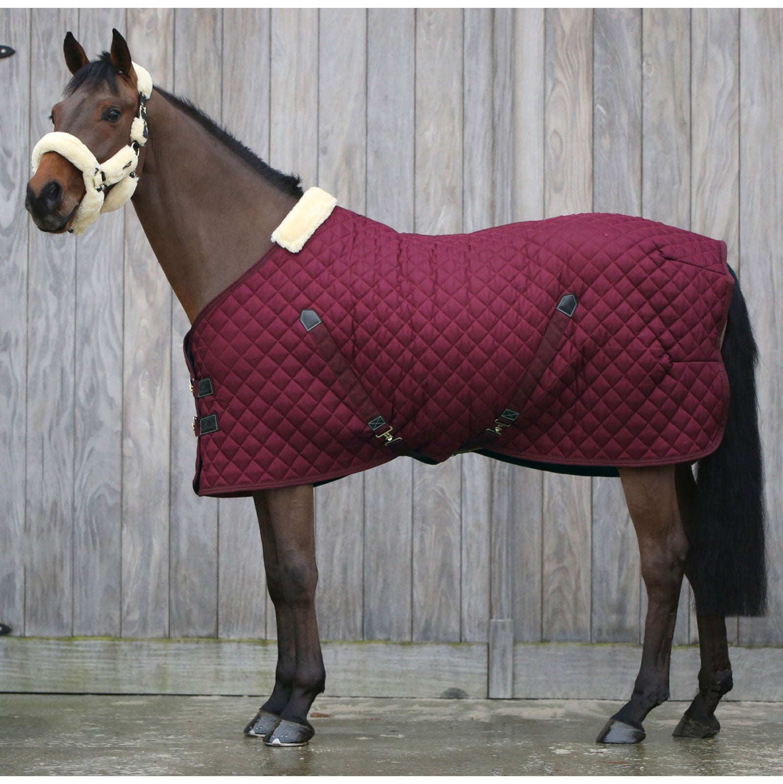 Kentucky Horsewear , Coperta da scuderia 400 gr Coperte per cavalli