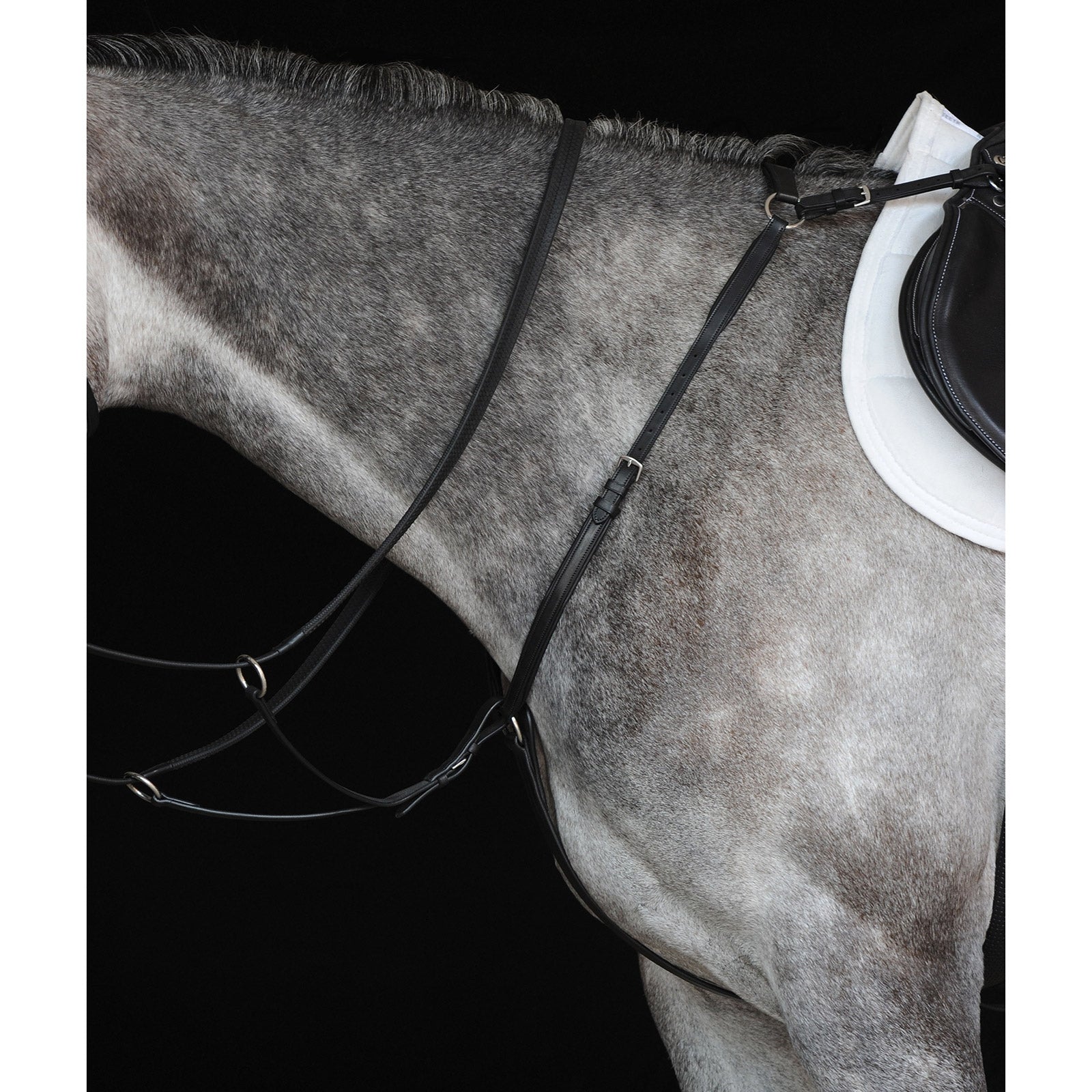 Collegiate Hunter Breast Plate IV Briglie & redini