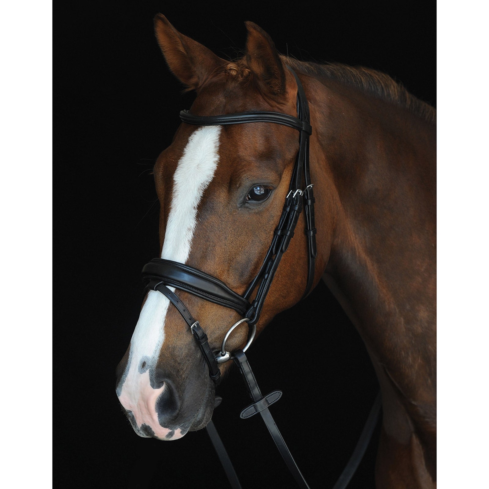 Collegiate Mono Crown Padded Raised Flash Bridle Briglie & redini