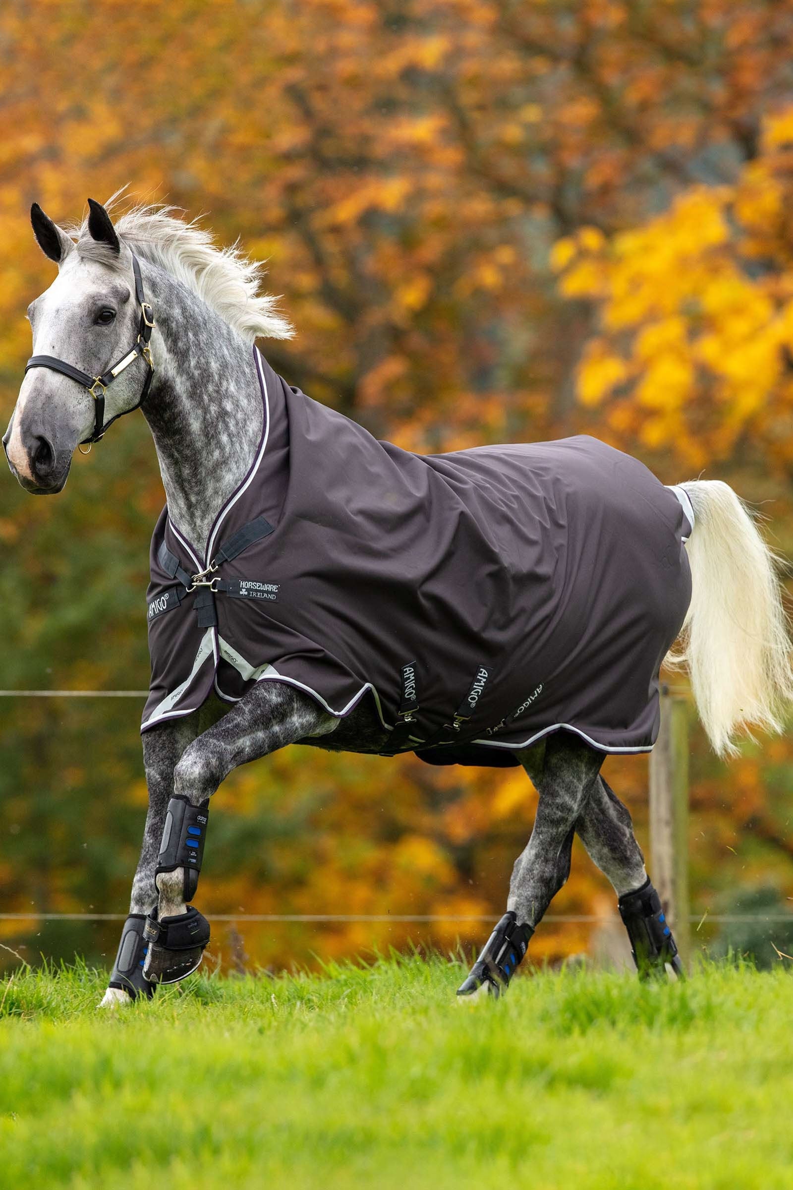 Horseware Amigo Bravo 12 Wug coperta da paddock con collo alto, 0 g Coperte per cavalli