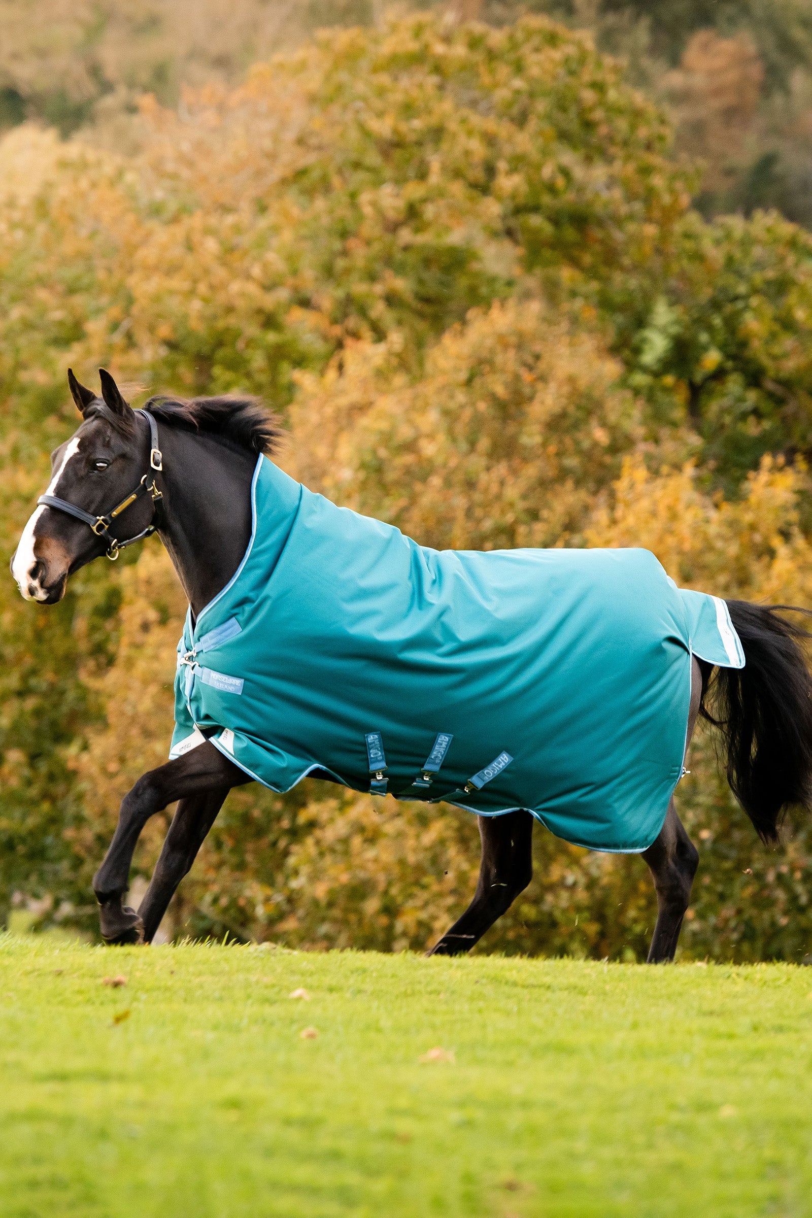 Horseware Amigo Bravo 12 Wug coperta da paddock con collo alto, 0 g Coperte per cavalli