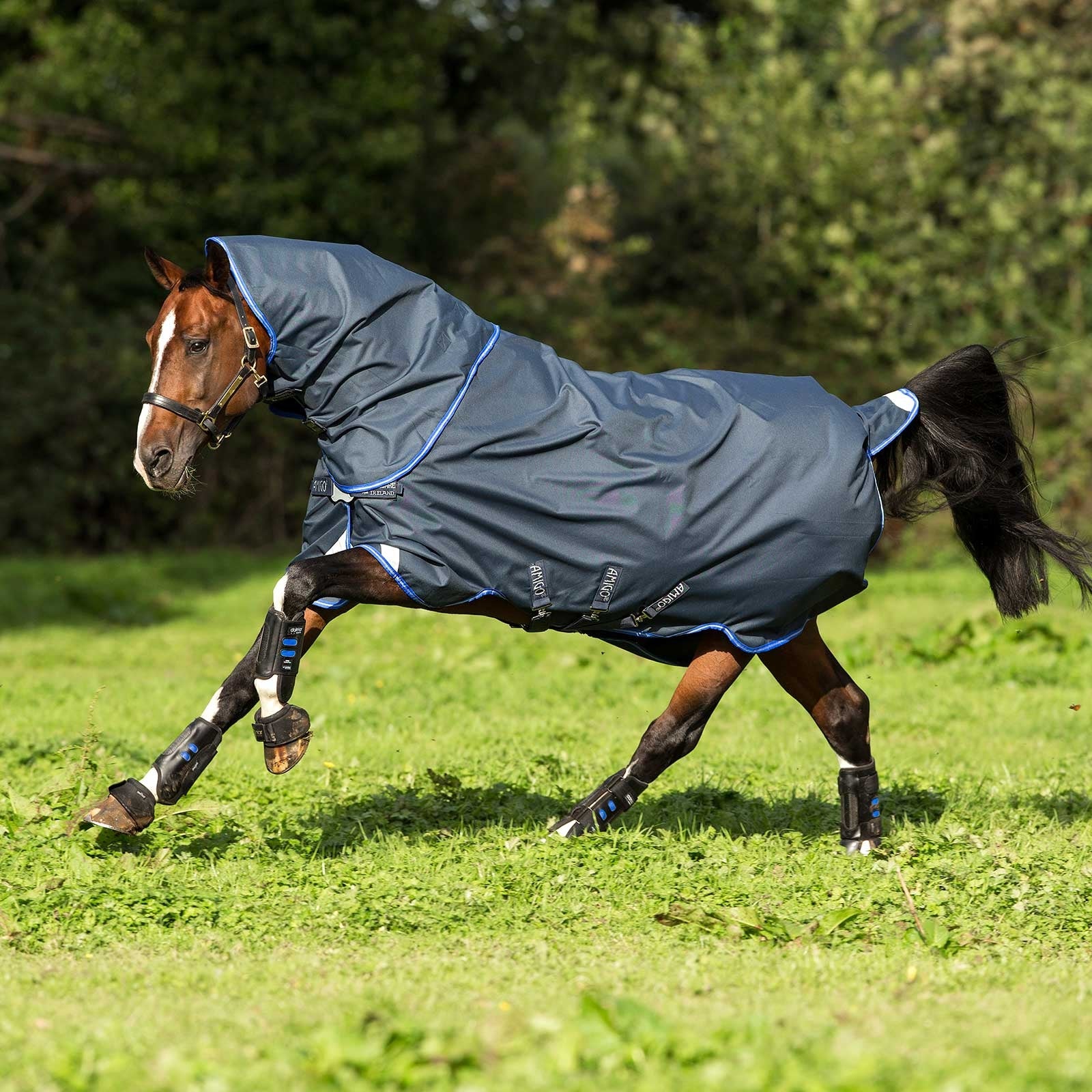 Horseware Amigo Bravo 12 Plus Disc Coperta da turnout con cappuccio rimovibile, 0 gr Coperte per cavalli