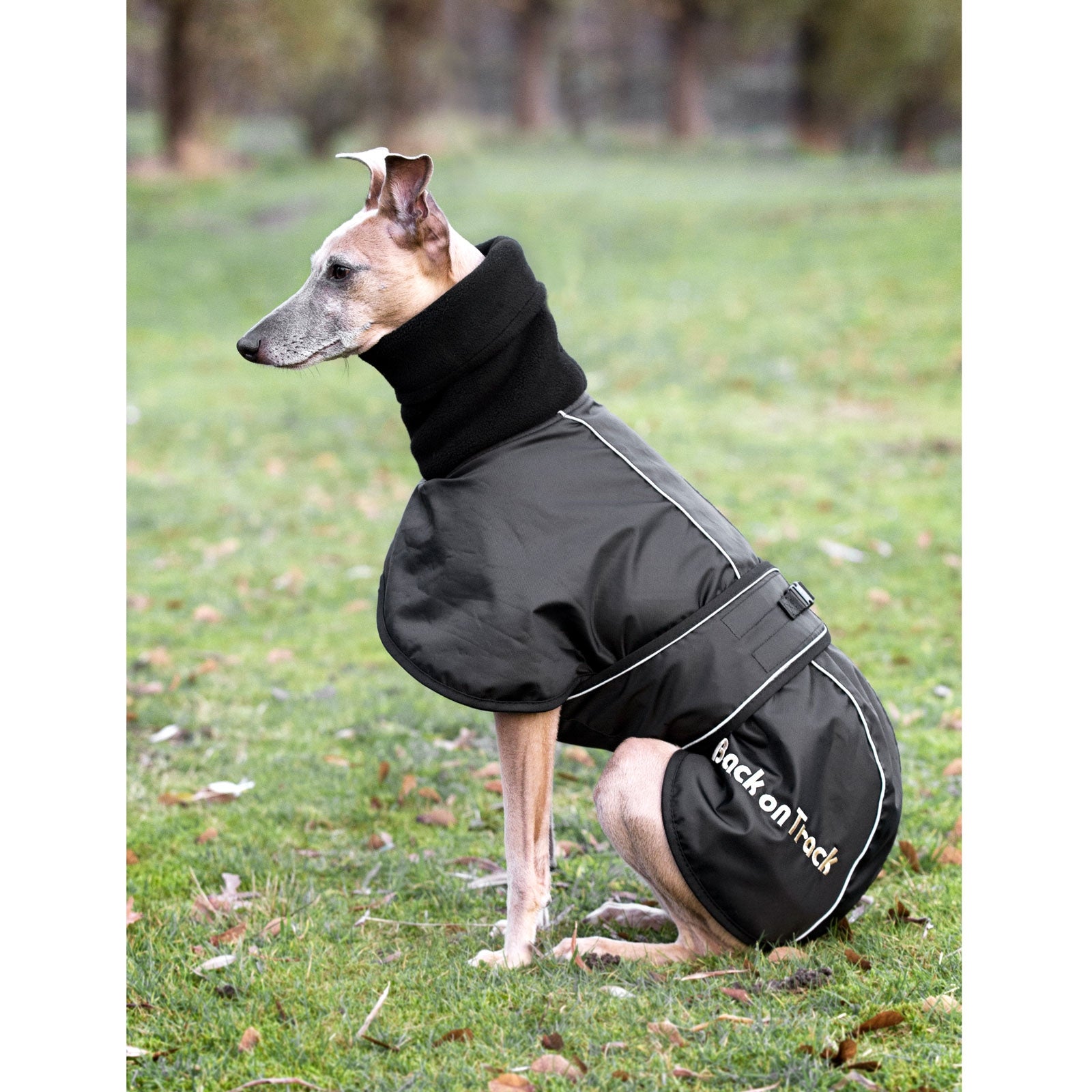 Back on Track Whippet, Coperta per cani L-XXL Cane