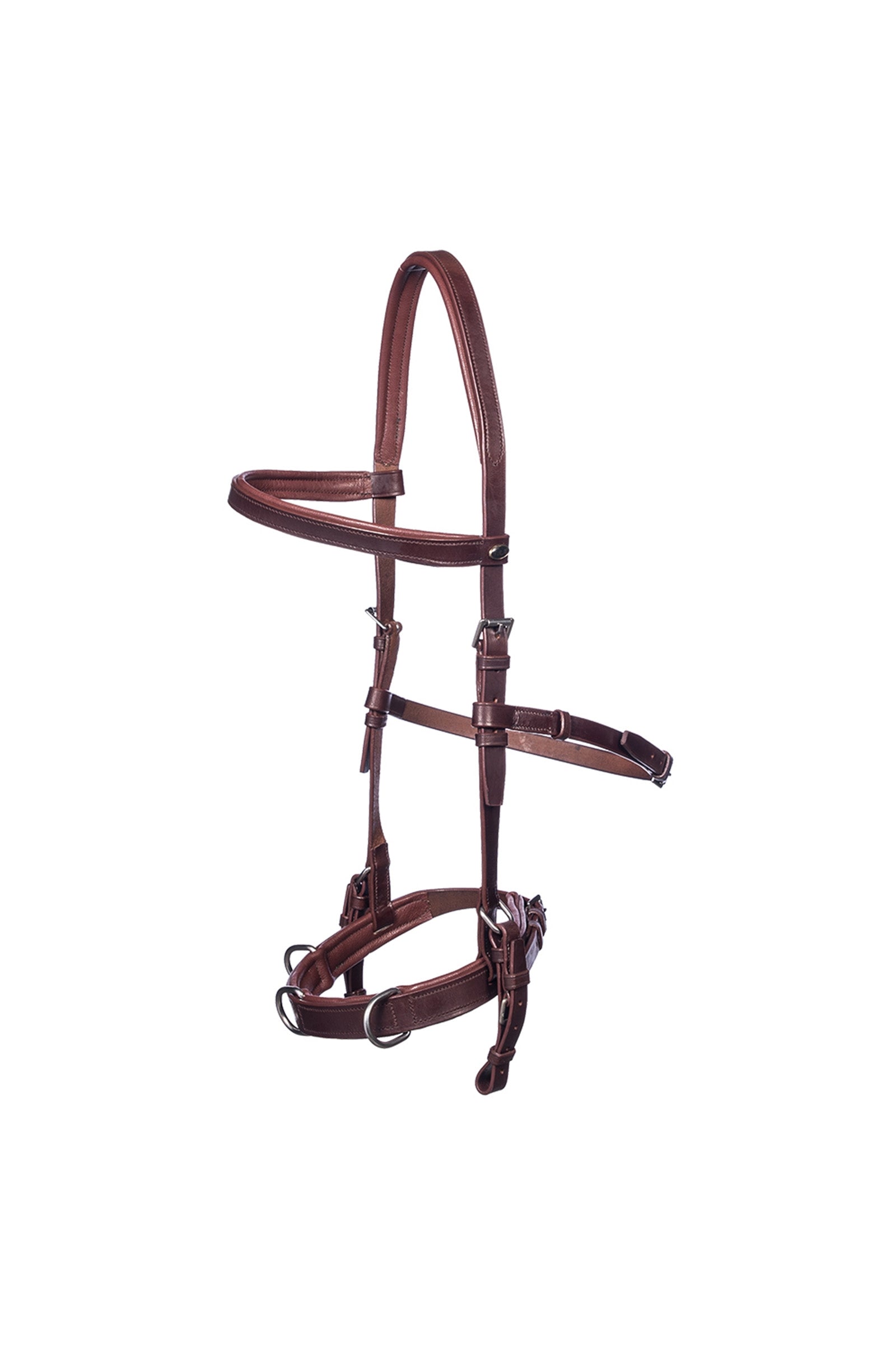 F.R.A. Freedom Riding Articles Baro capezza per longia, cuoio Briglie & redini