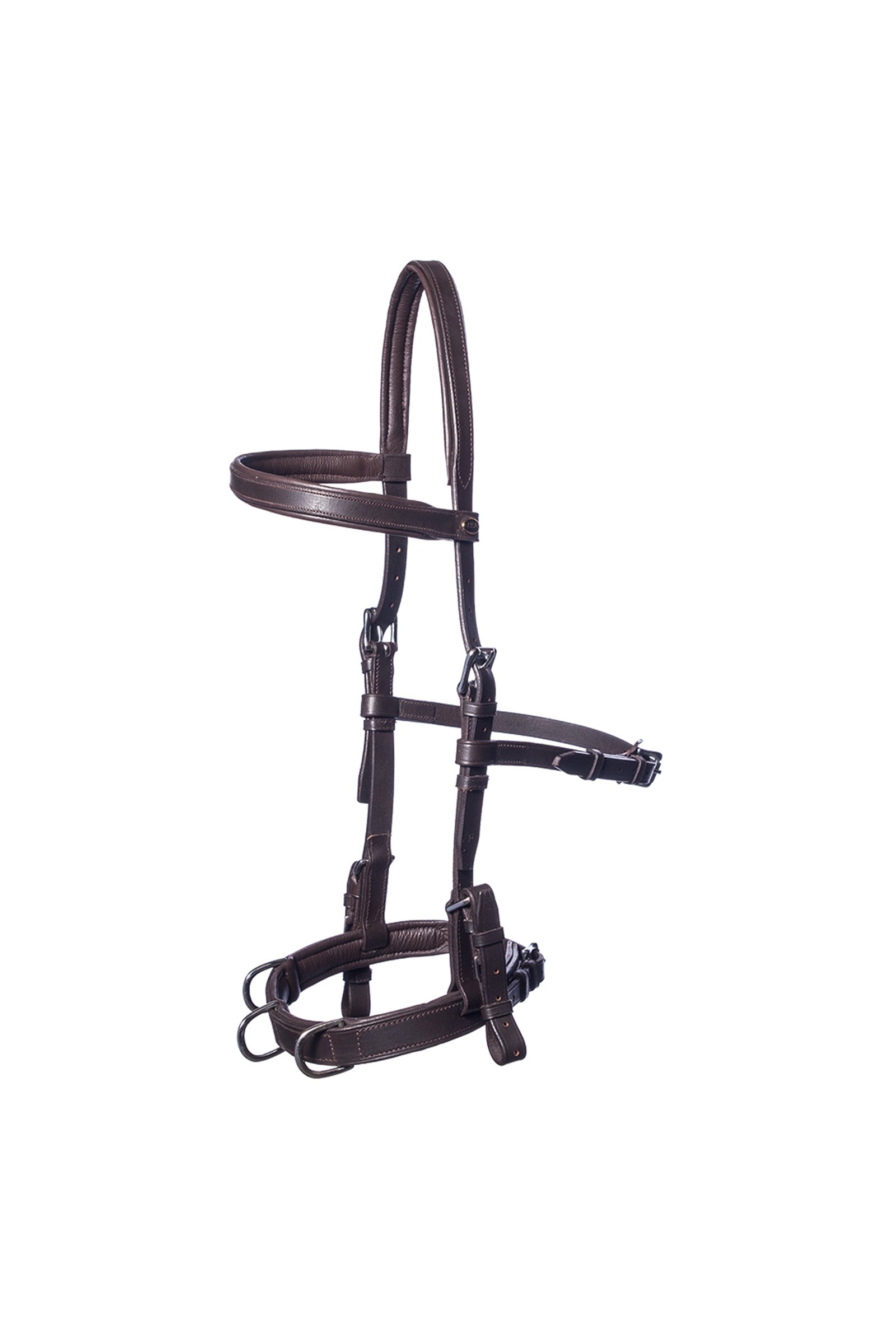 F.R.A. Freedom Riding Articles Baro capezza per longia, cuoio Briglie & redini