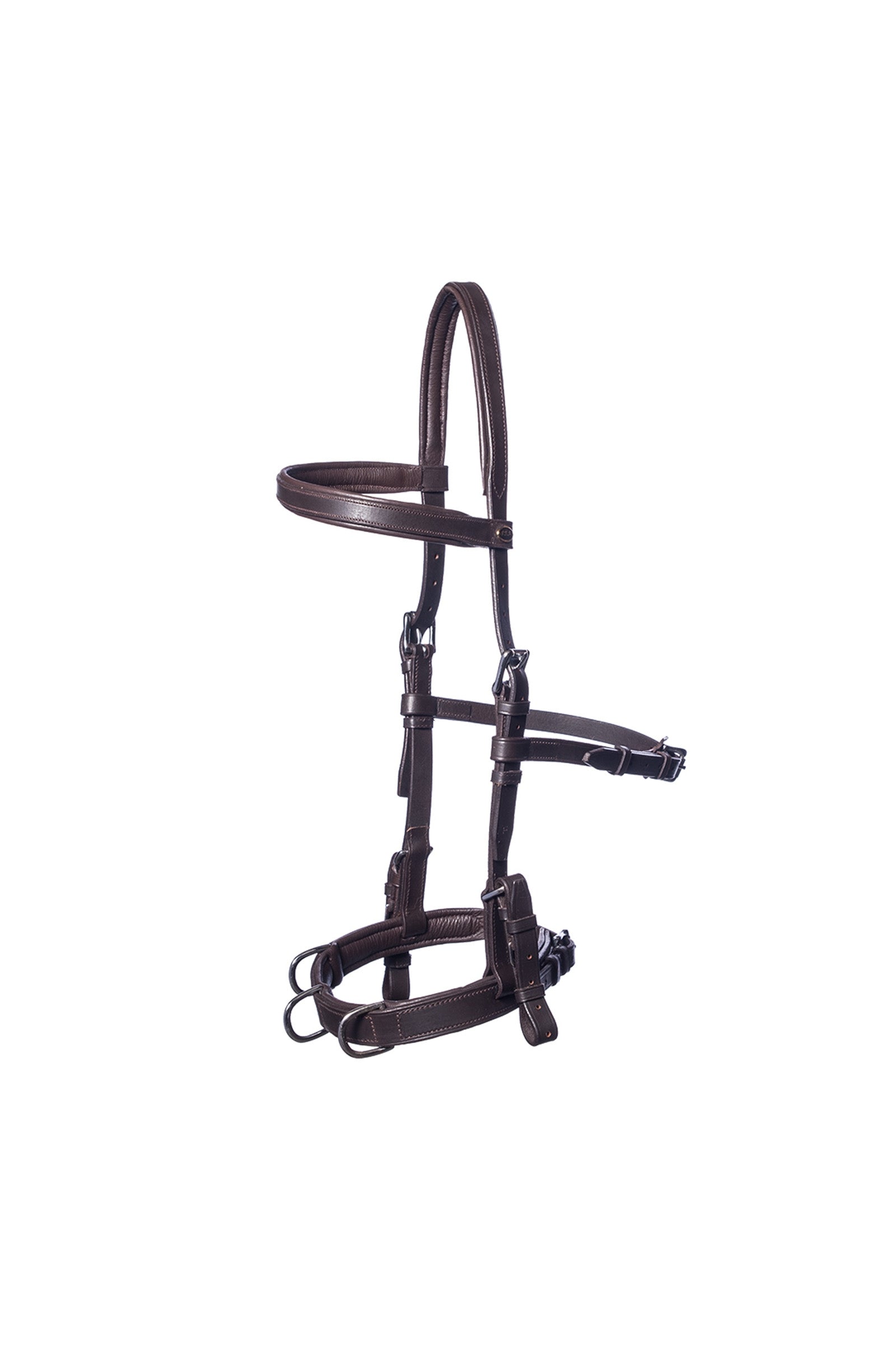 F.R.A. Freedom Riding Articles Baro capezza per longia, cuoio (shire) Addestramento del cavallo
