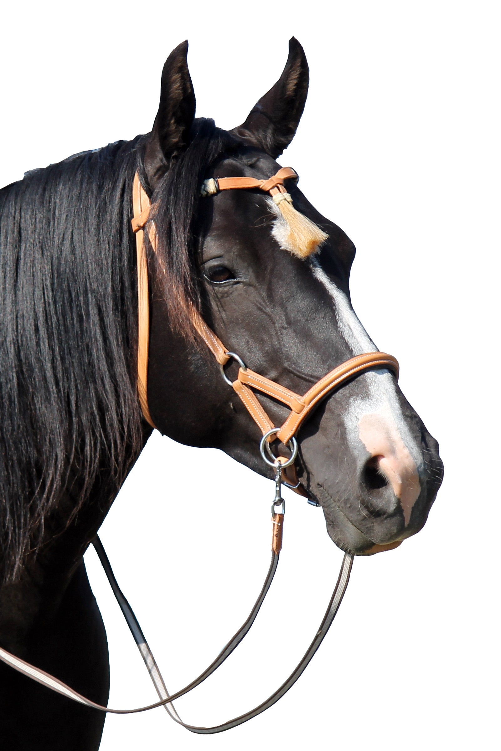 F.R.A. Freedom Riding Articles Shango Sidepull (System 3) Western Look Leather Bridles & Reins