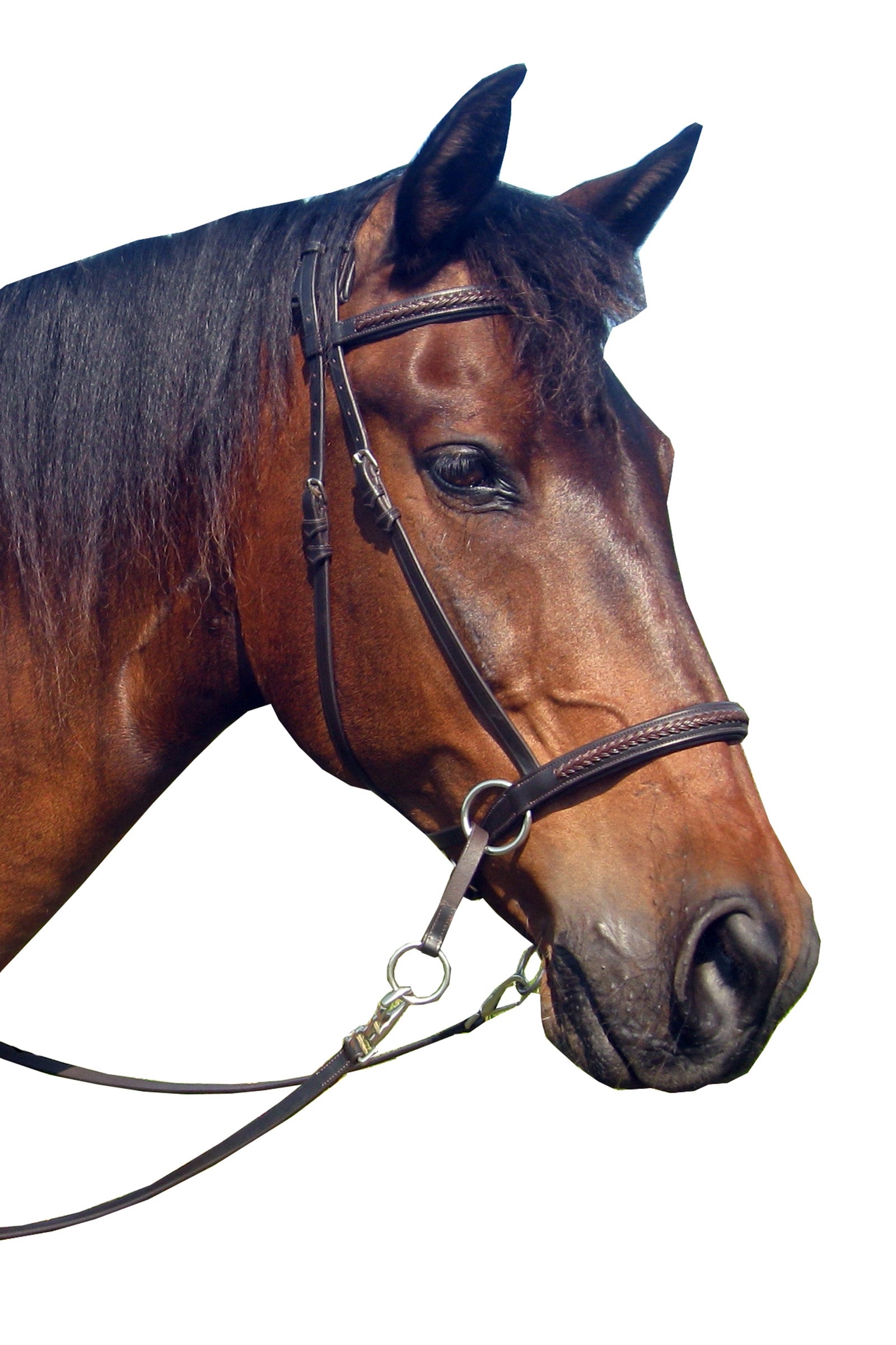F.R.A. Freedom Riding Articles Ulan Bitless Bridle (System 5) Leather w/ Leather Reins Bridles & Reins