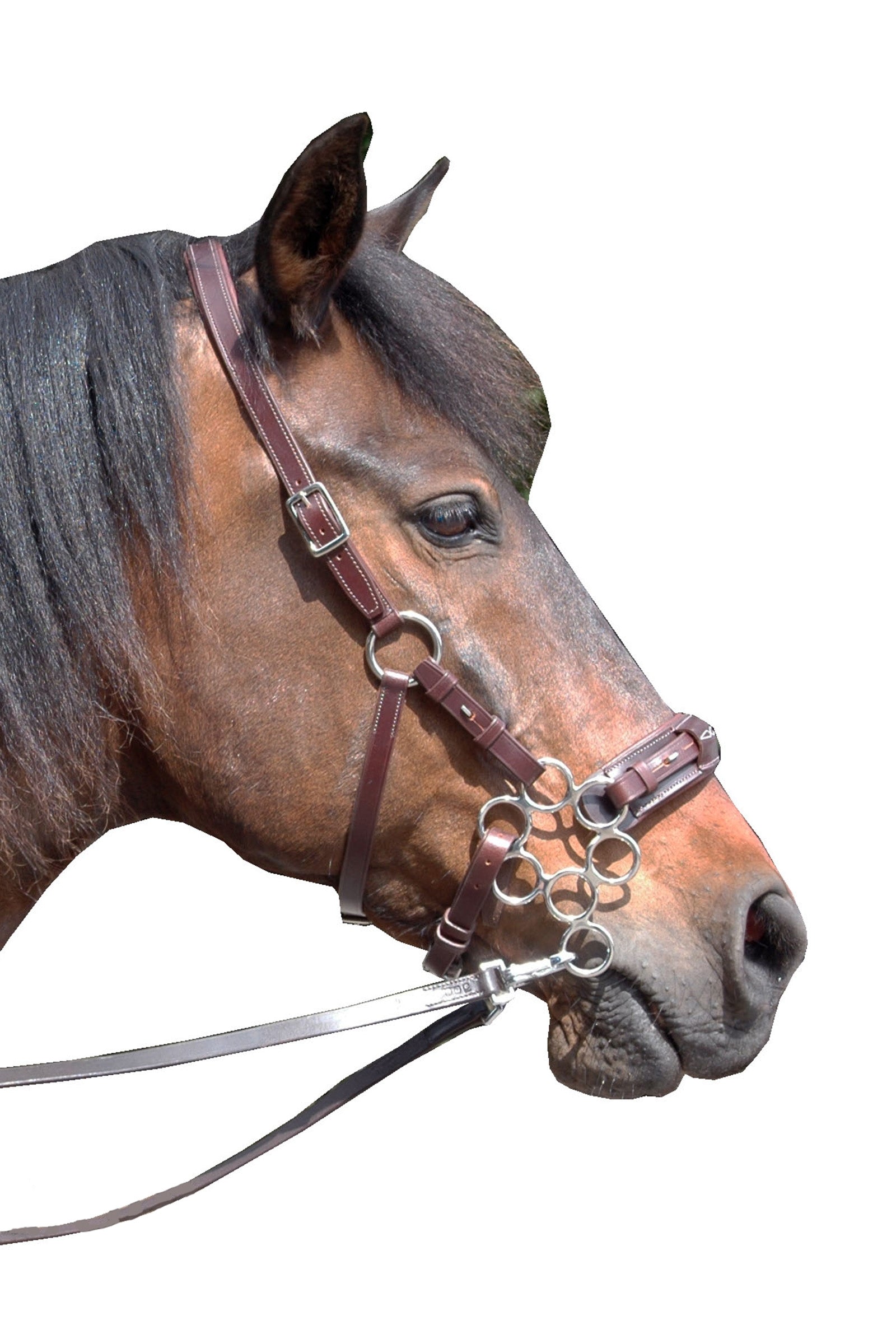 F.R.A. Freedom Riding Articles Aram Hackamore (Sistema 2) in pelle, cinturini per mascelle, con forbici Briglie & redini