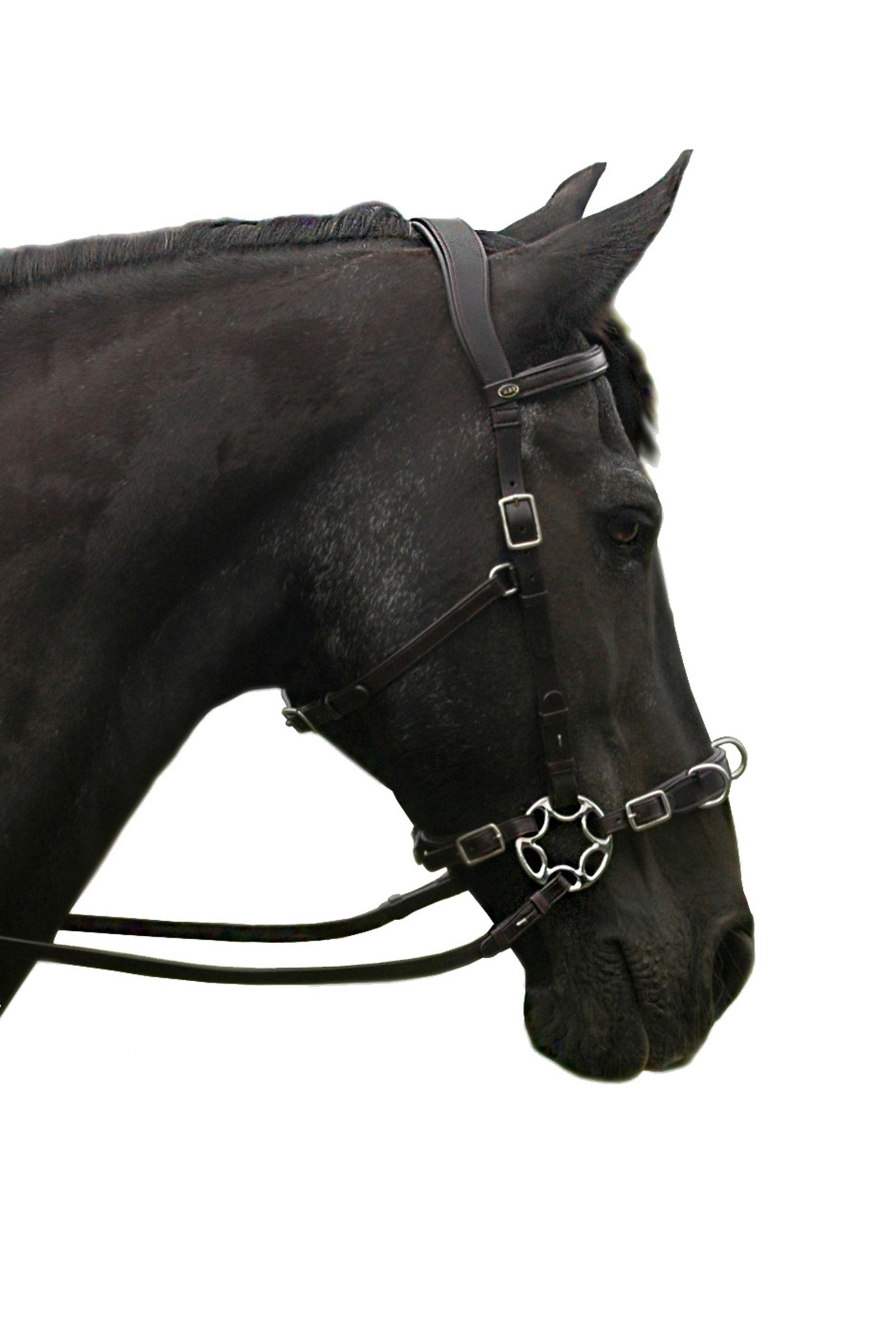 F.R.A. Freedom Riding Articles Caval Compl. Cavemore Bridle (Syst.2) w/ Scissors & Reins Bridles & Reins