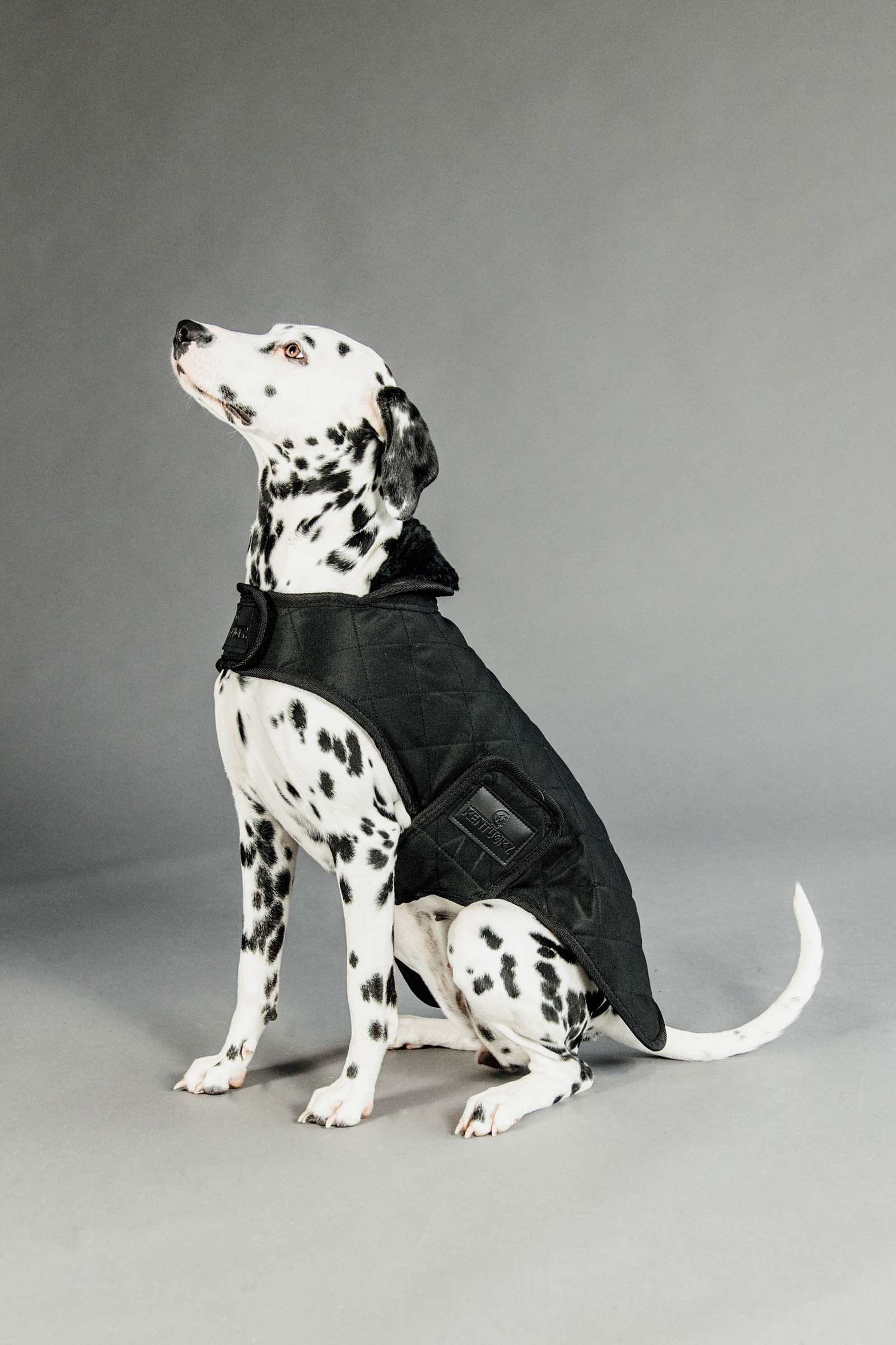 Kentucky Dogwear Cappotto per cani impermeabile Cane