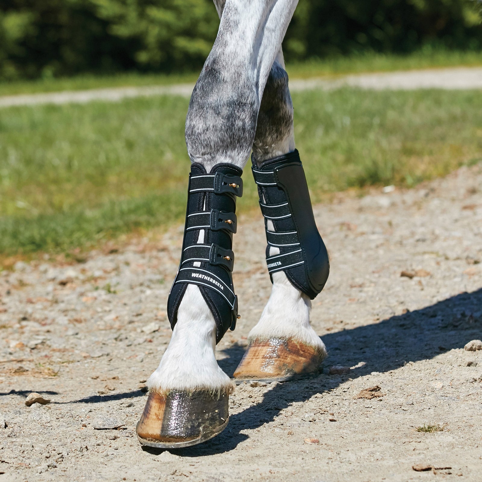 Weatherbeeta Stivali da dressage con guscio rigido Leg Protection & Hoof Protection for Horses