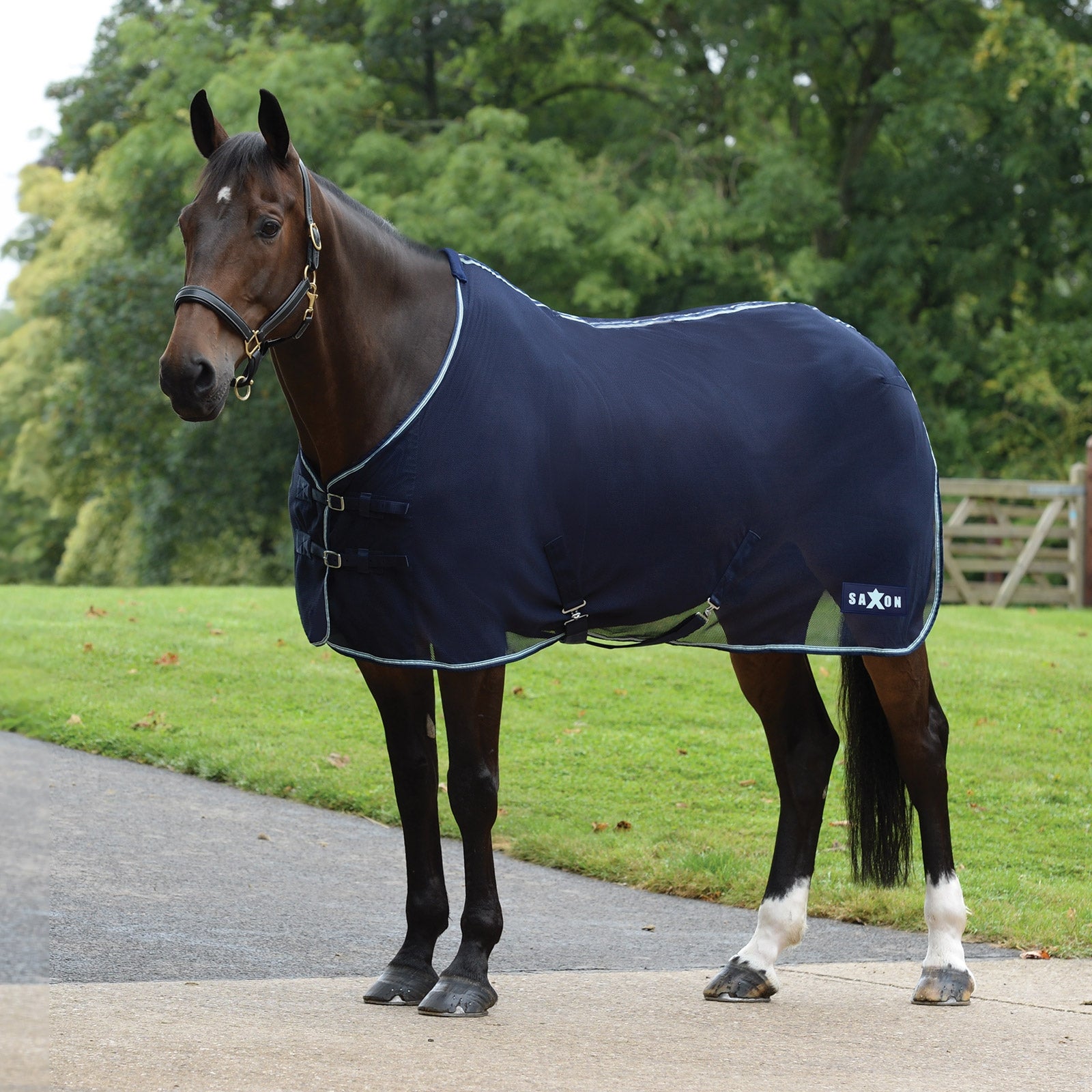 Saxon Tappeto Element Mesh Coperte per cavalli