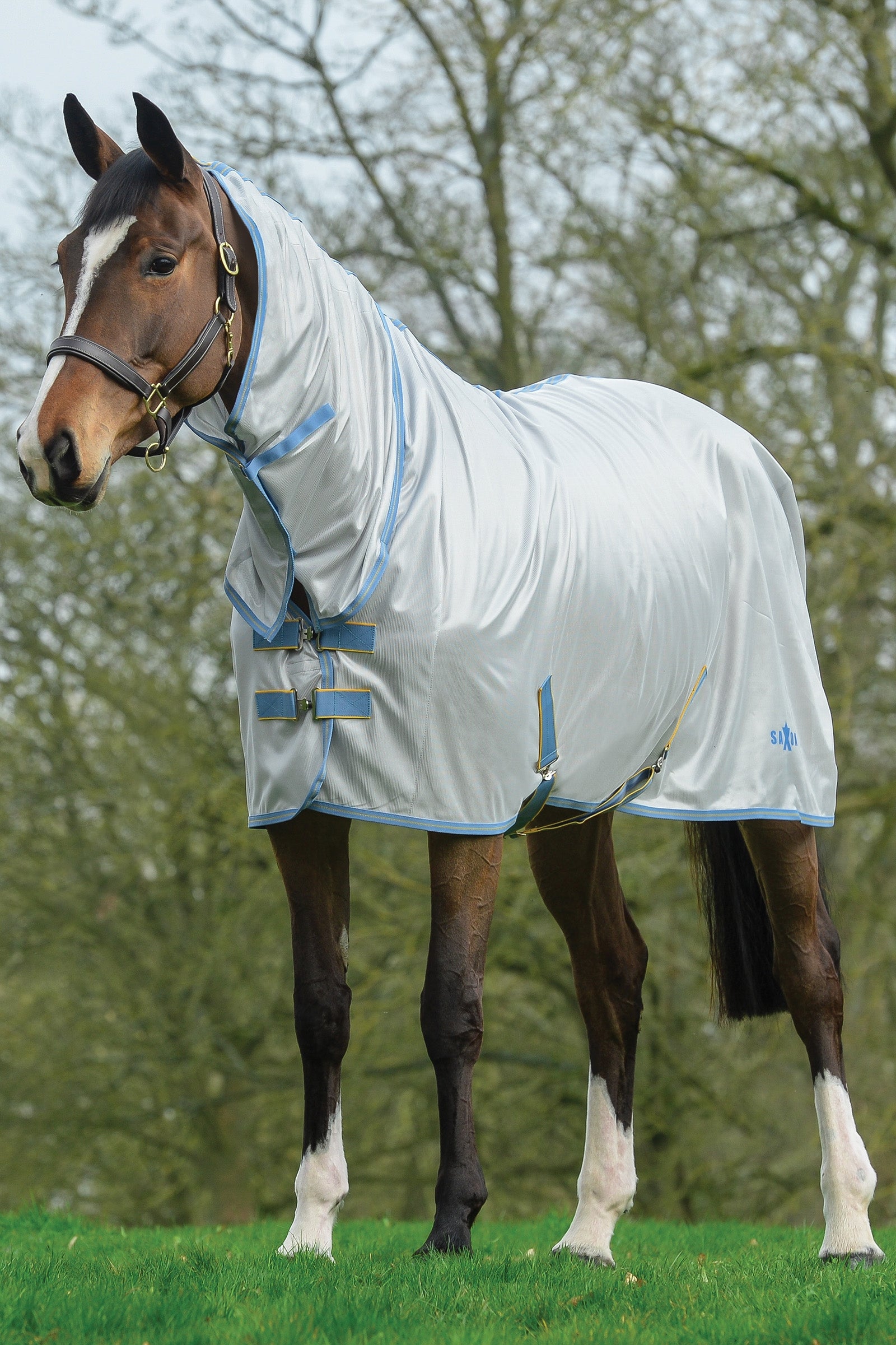 Saxon Coperta combo a rete con collo inamovibile Coperte per cavalli