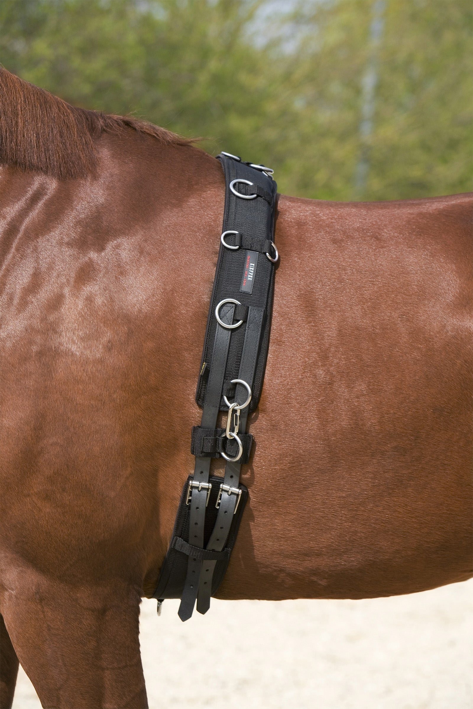 Kieffer Sottopancia da affondo Addestramento del cavallo