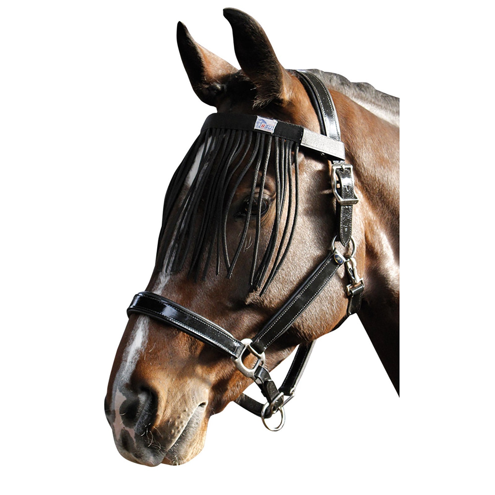 Harry's Horse Frontalino Fly Fringe Protezione antimosche per cavalli