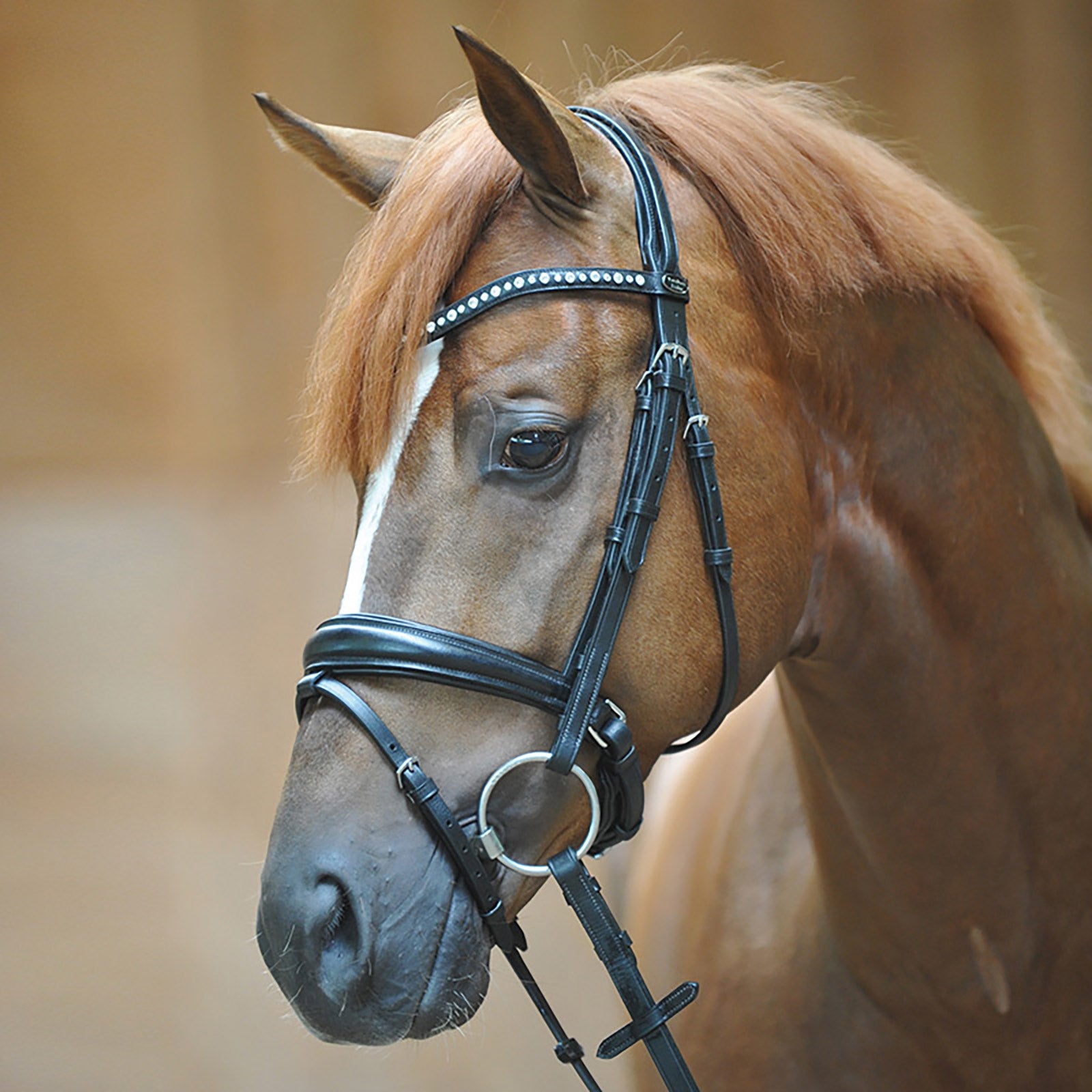 Kavalkade Bridle Mia, capezzina a manovella con flash Briglie & redini