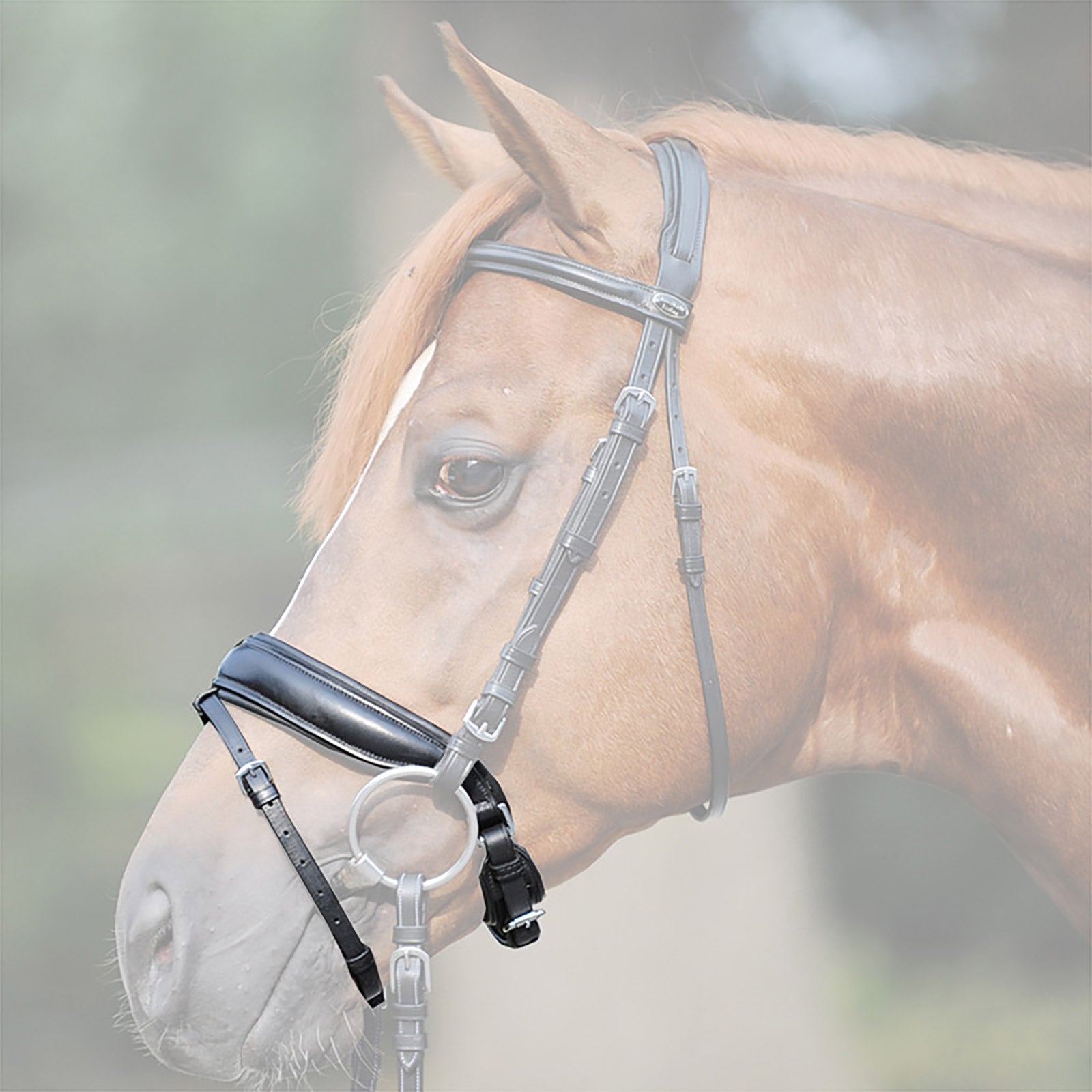 Kavalkade Crank noseband, extra wide Briglie & redini