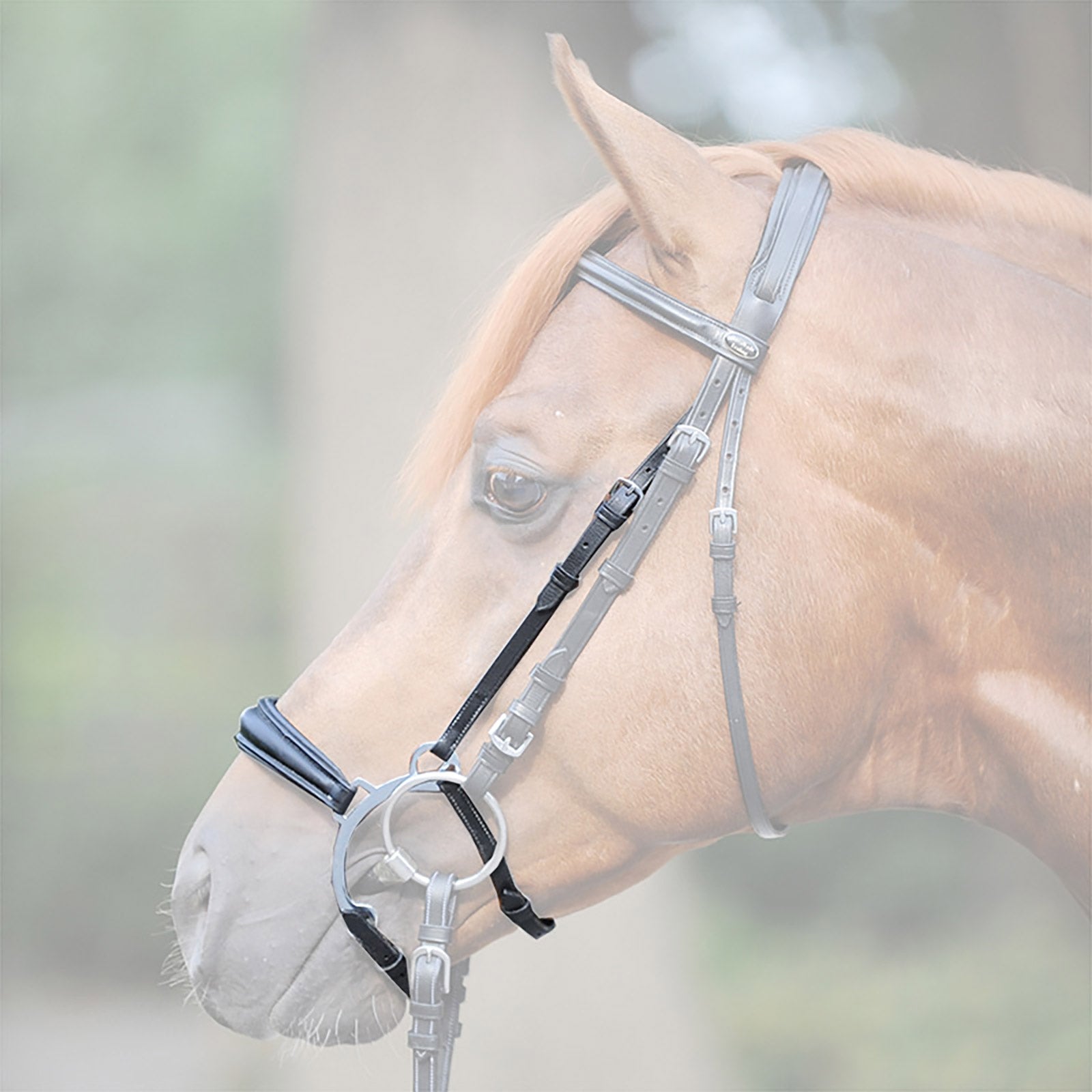 Kavalkade Iron noseband Briglie & redini