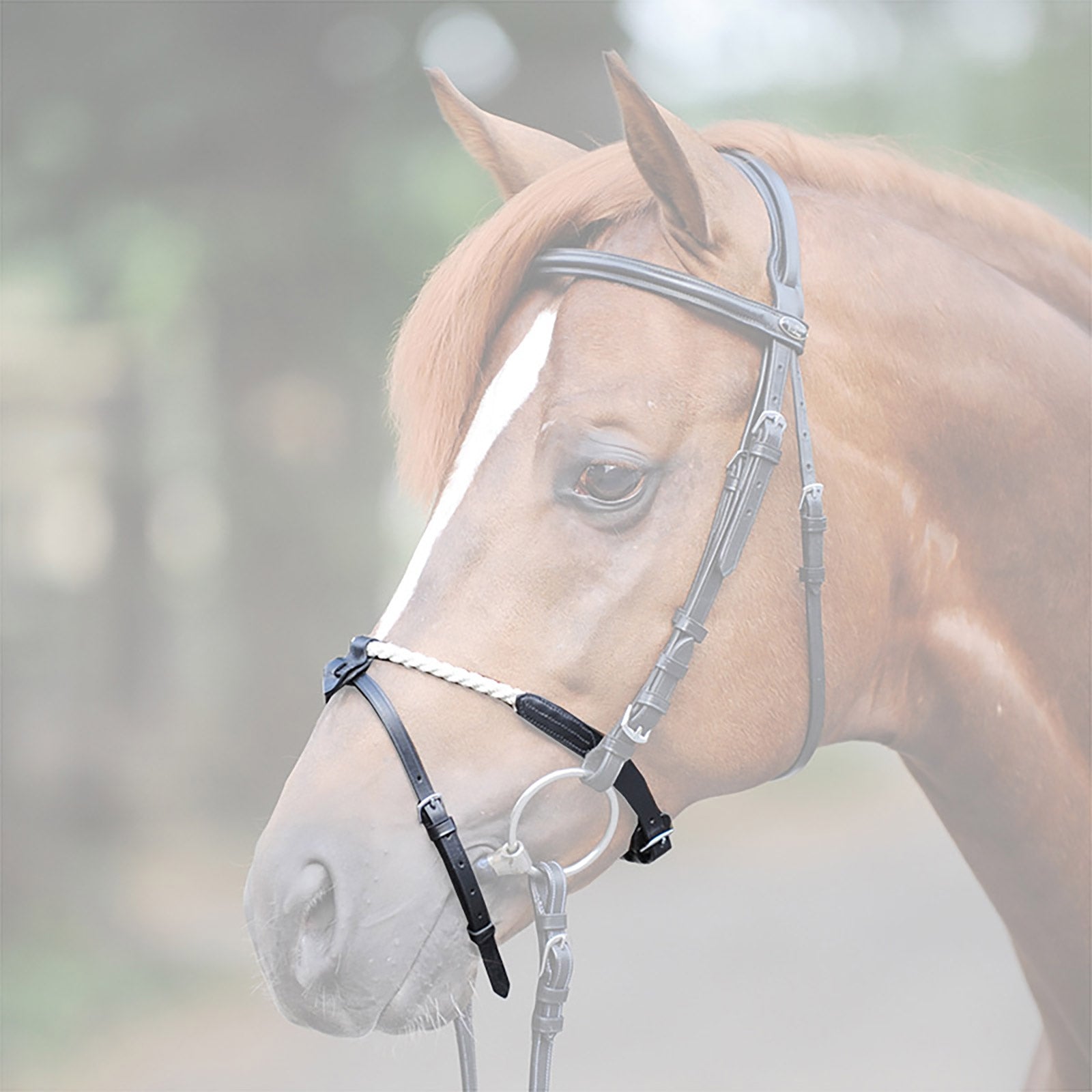 Kavalkade Rope noseband Briglie & redini