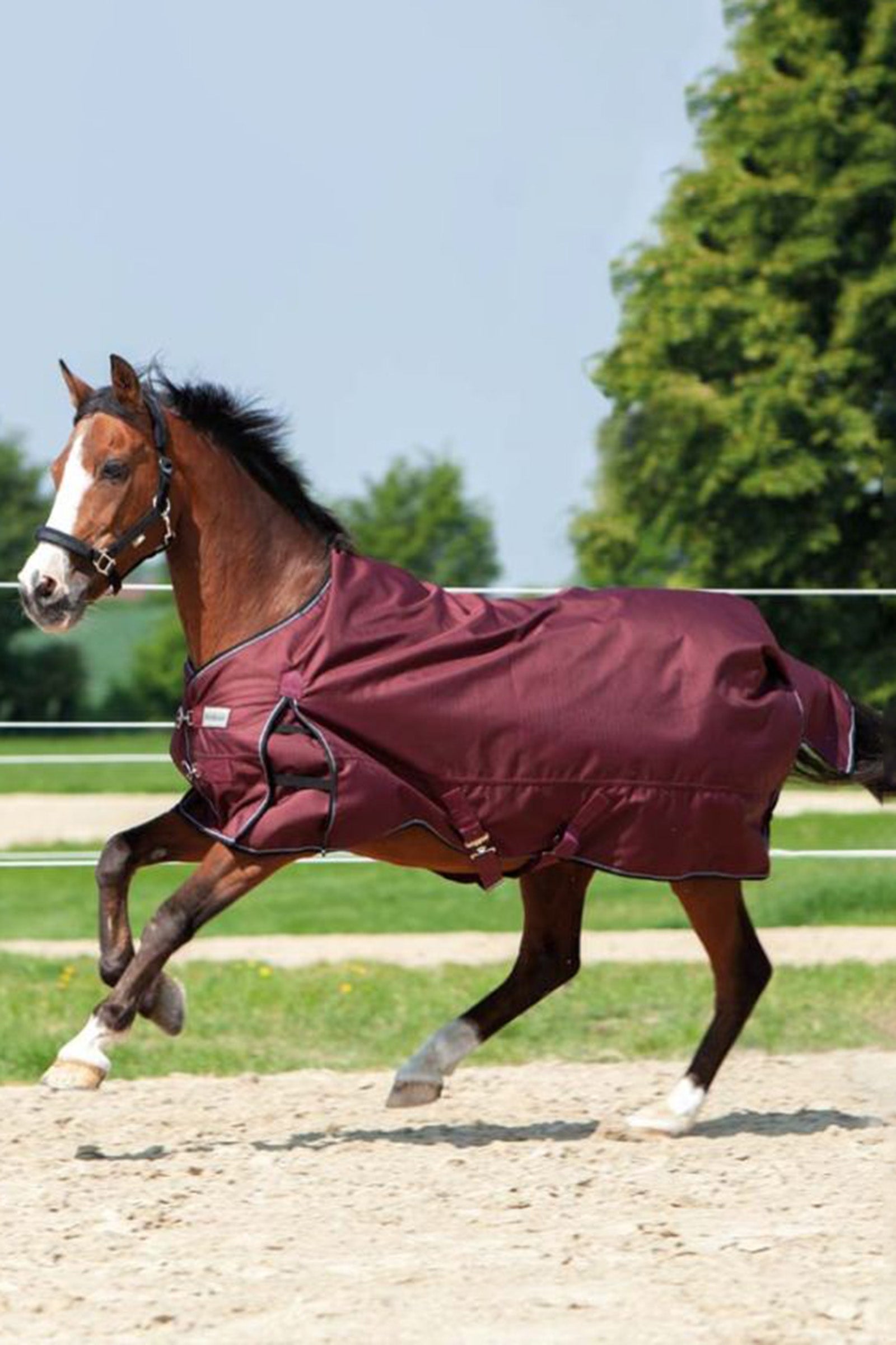 Kavalkade Alaska IV Tappeto da Turnout, 100 g Coperte per cavalli
