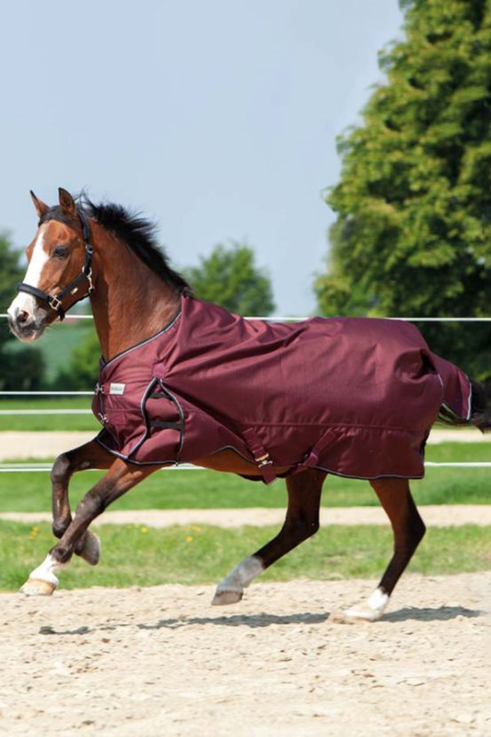 Kavalkade Alaska IV Tappeto da Turnout, 300 g Coperte per cavalli