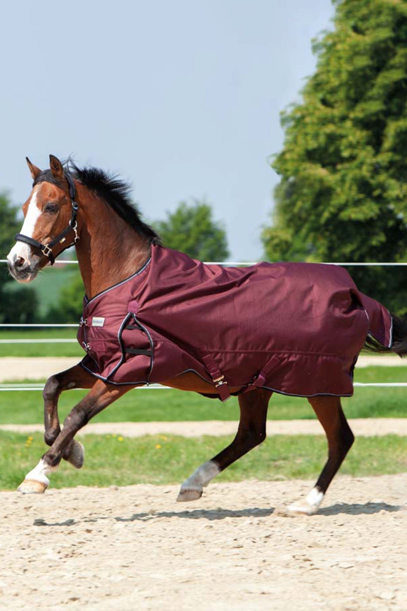 Kavalkade Tappeto Turnout Alaska IV Fleece Coperte per cavalli