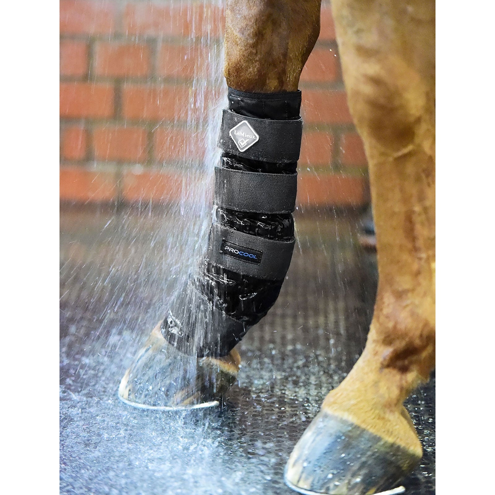 LeMieux Stivali per acqua fredda Leg Protection & Hoof Protection for Horses