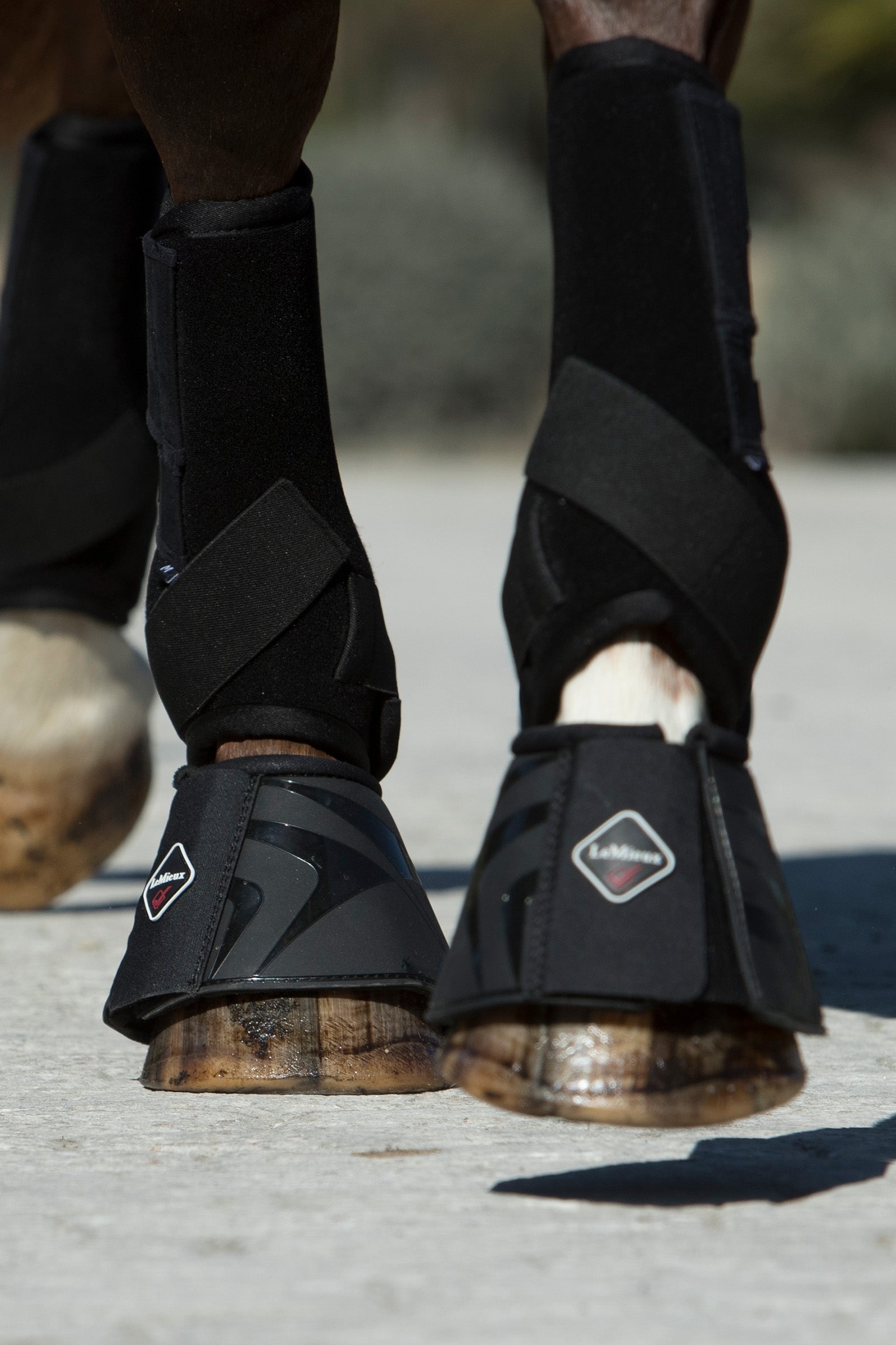 LeMieux ProShell Stivali protezione Over Reach Leg Protection & Hoof Protection for Horses