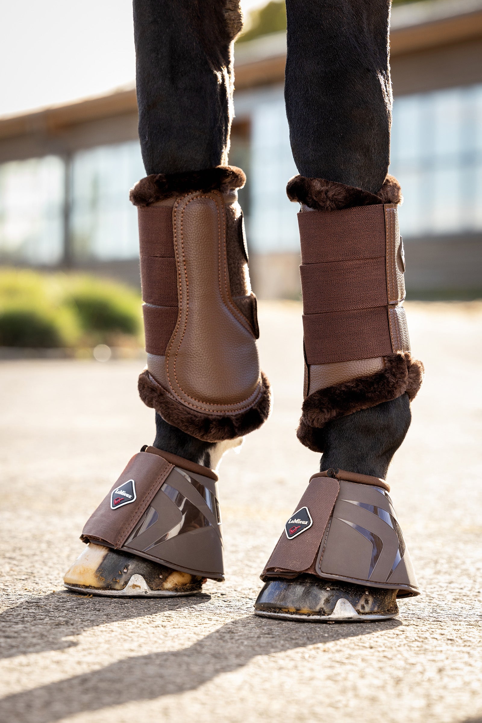 LeMieux ProShell Stivali protezione Over Reach Leg Protection & Hoof Protection for Horses