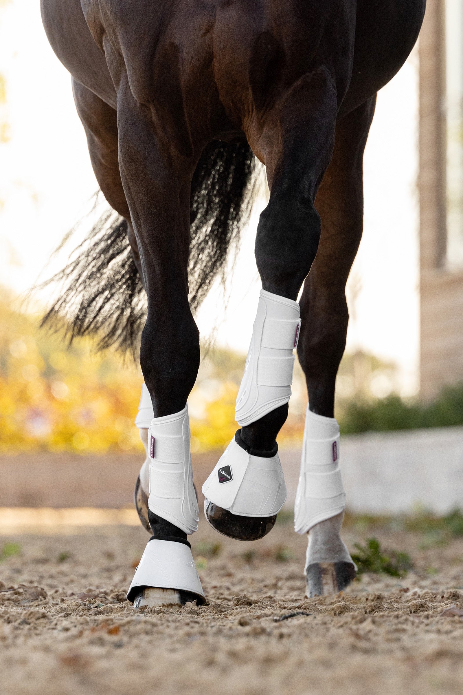 LeMieux ProShell Stivali protezione Over Reach Leg Protection & Hoof Protection for Horses
