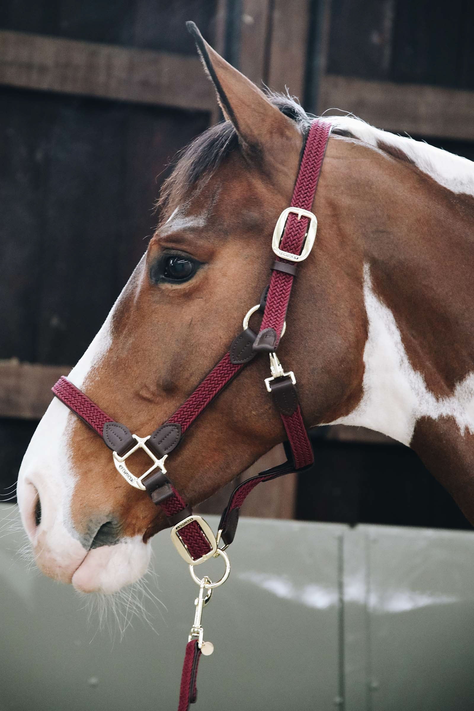 Kentucky Horsewear Capezza in nylon intrecciato Kentucky Cavezze e guinsagli