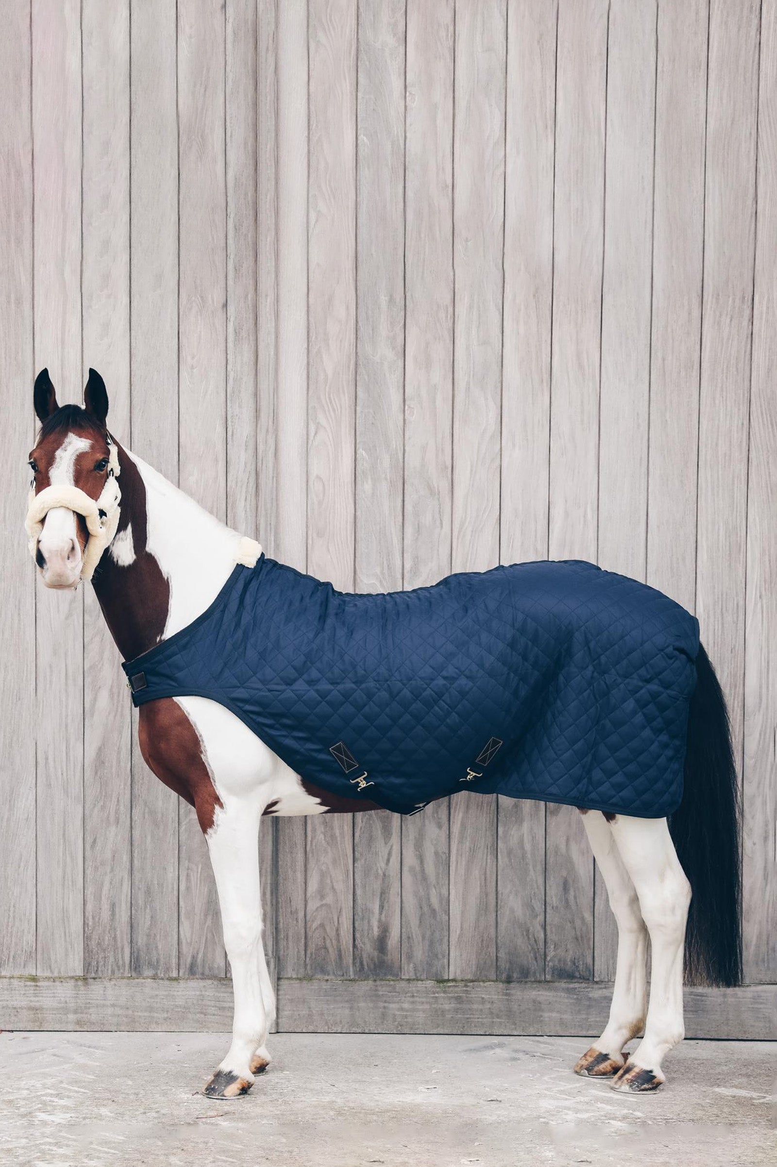 Kentucky Horsewear Tappeto Walker, 160 g Coperte per cavalli