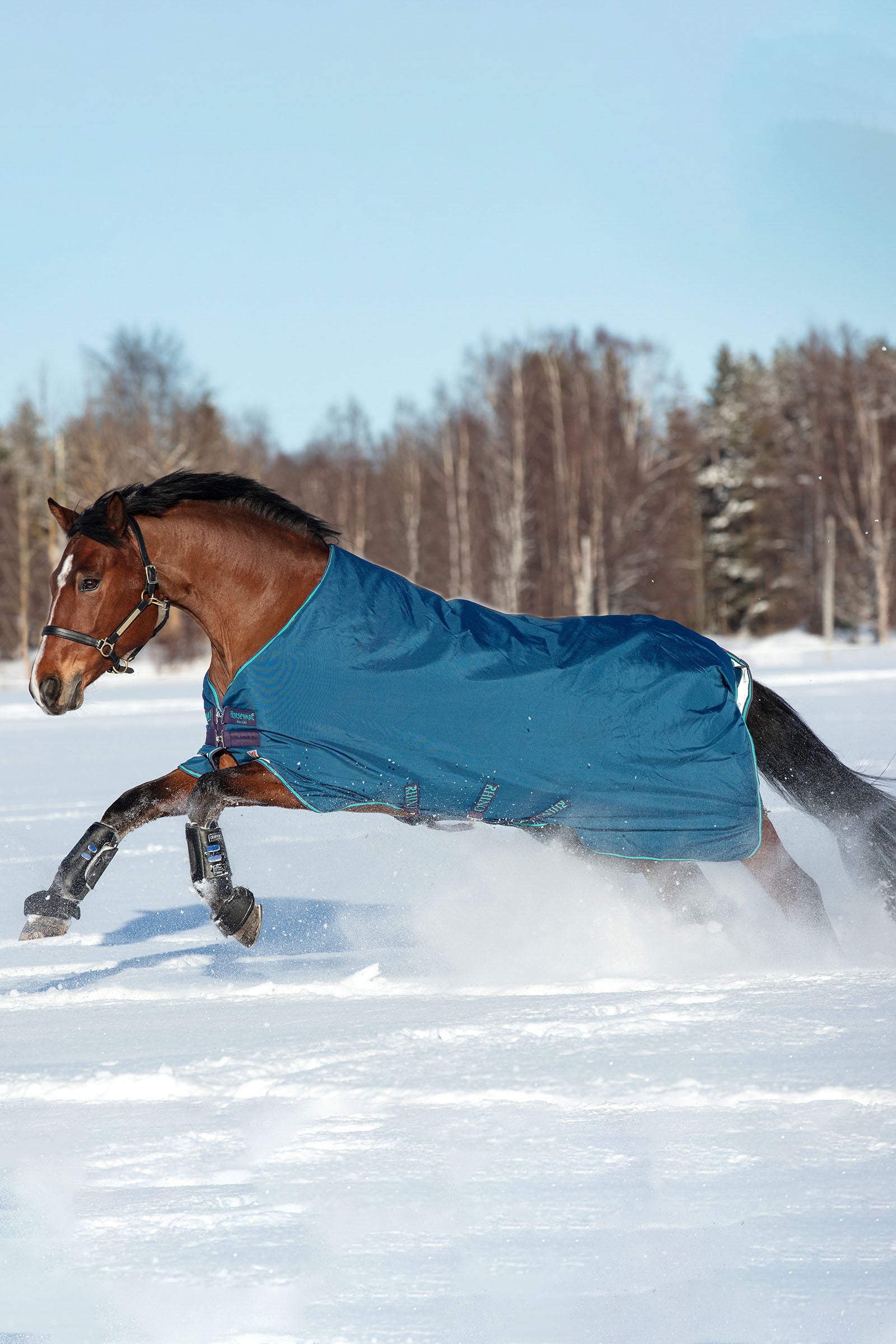 Horseware Rhino - Tappeto Turnout originale a vari strati, 250 g Coperte per cavalli