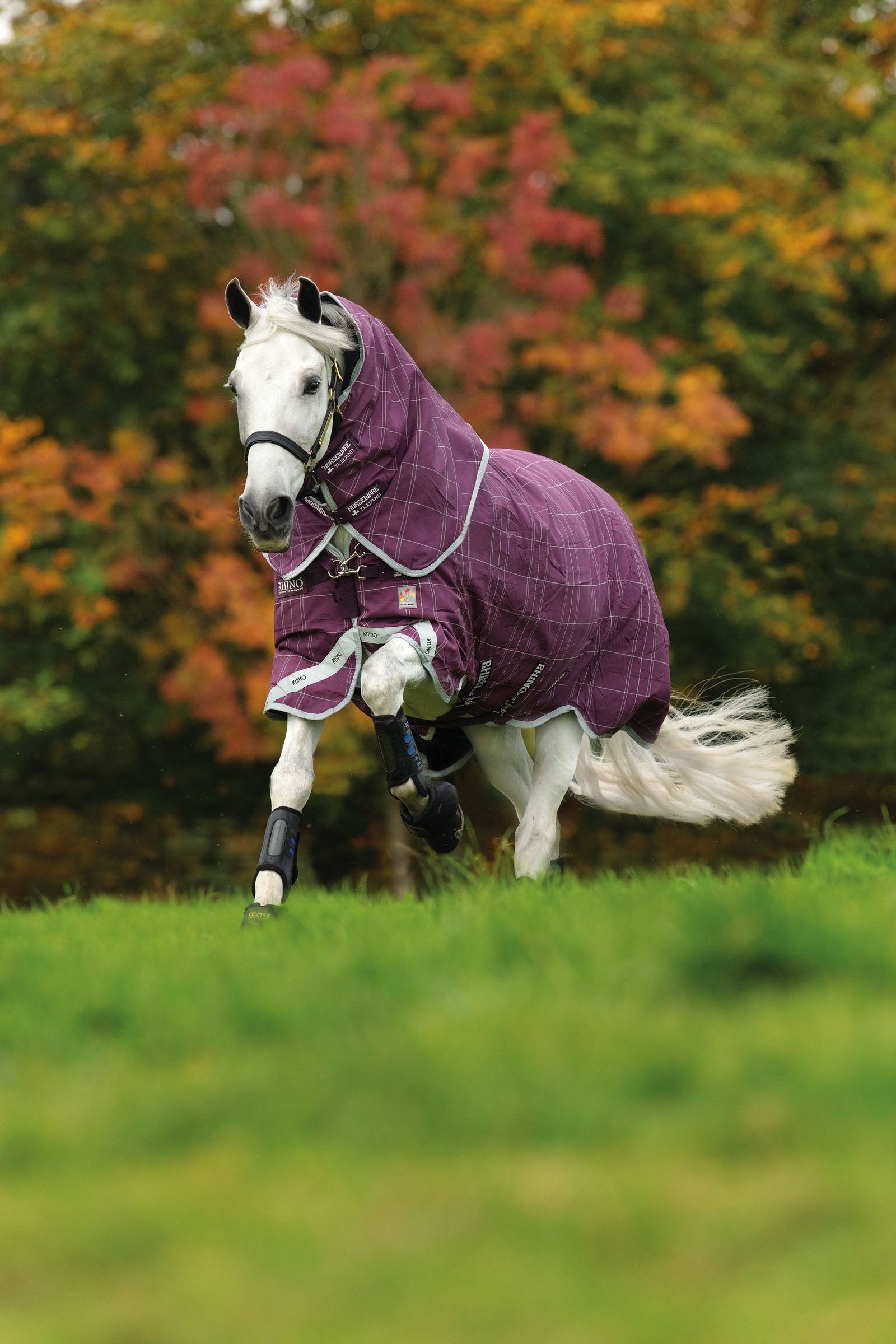Horseware Rhino Plus Vari-Layer Coperta da turnout con collo rimovibile, 450 gr Coperte per cavalli