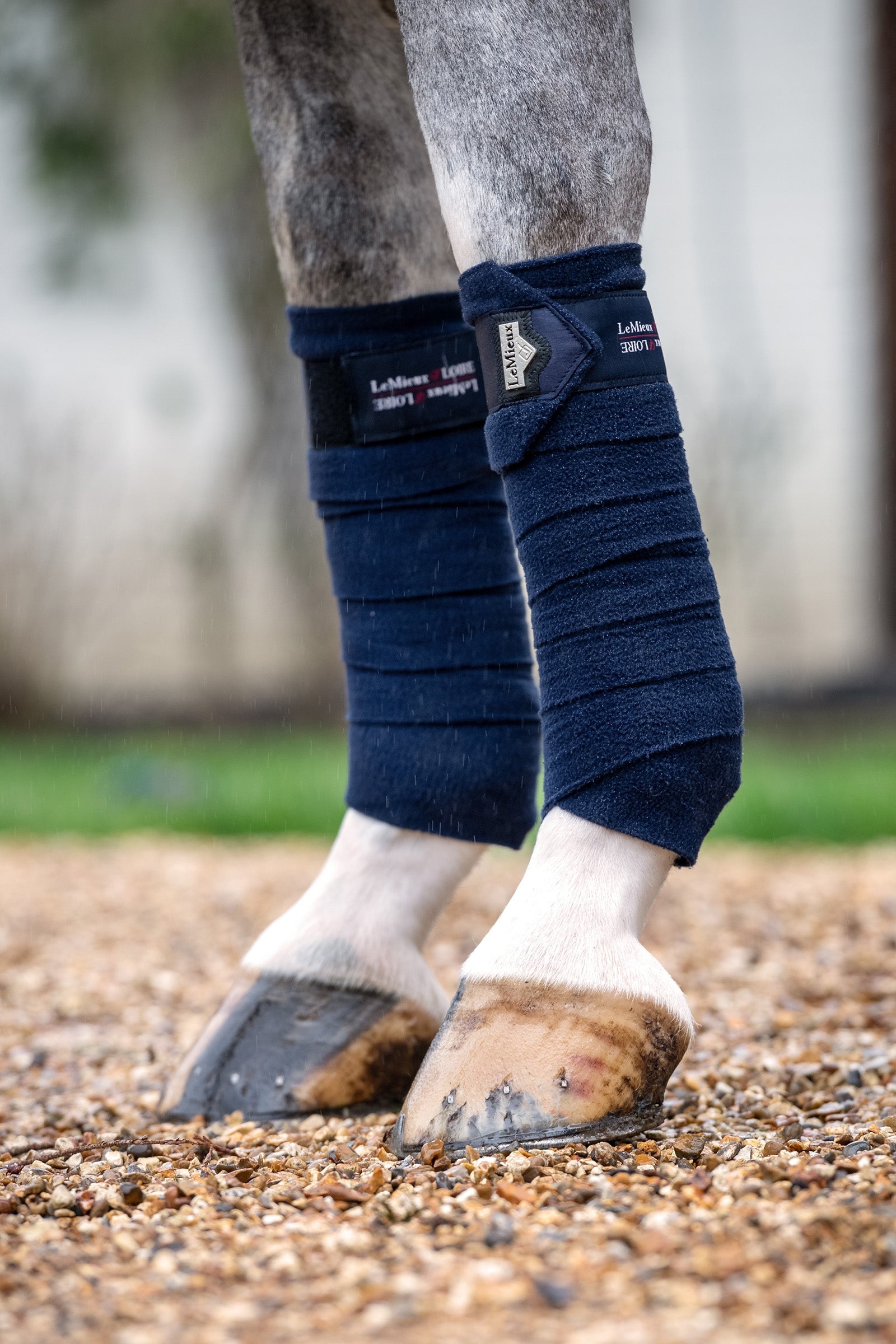 LeMieux Loire Fasce da lavoro Leg Protection & Hoof Protection for Horses