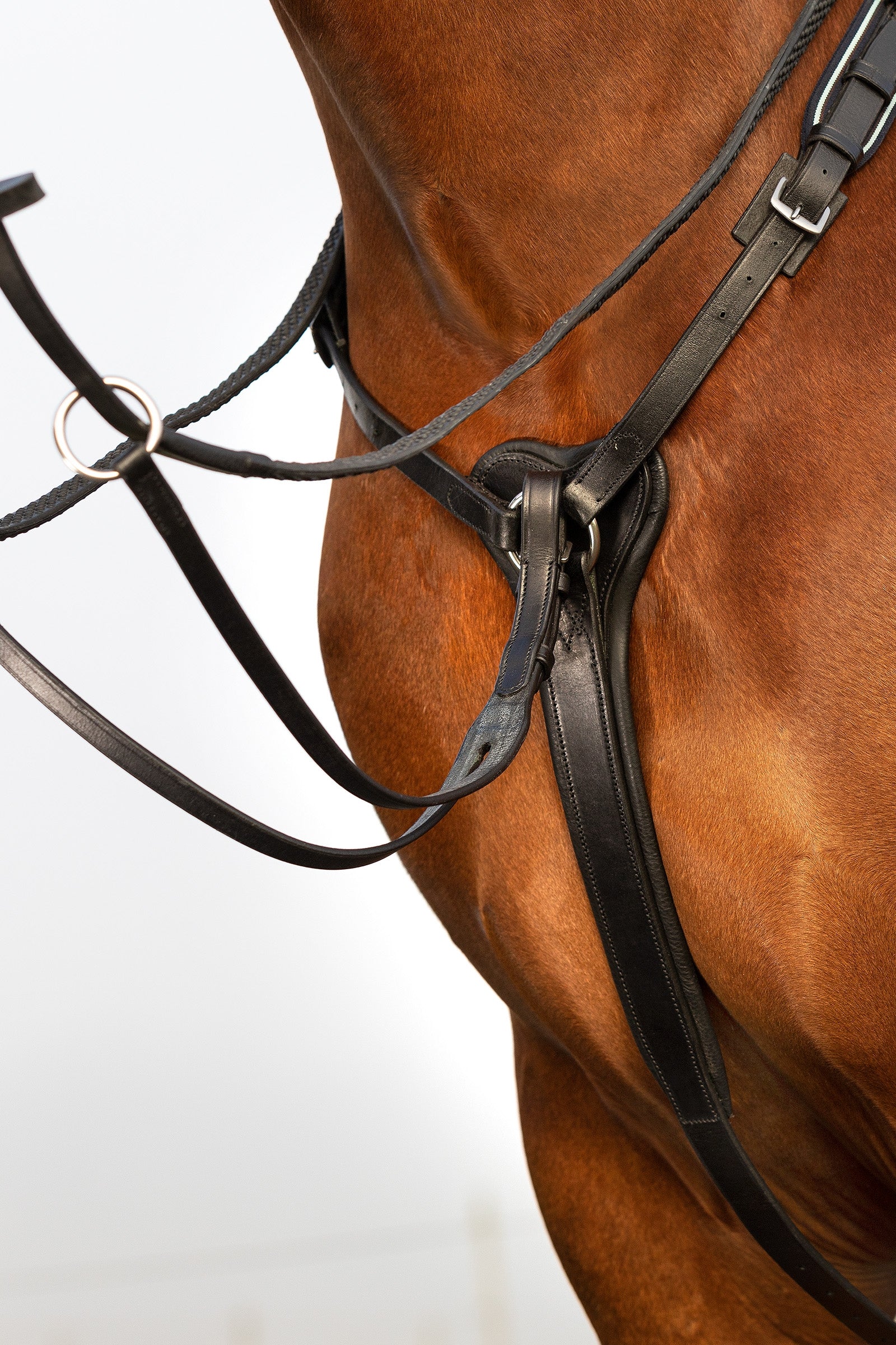 Horseware Rambo Micklem Breastplate Briglie & redini