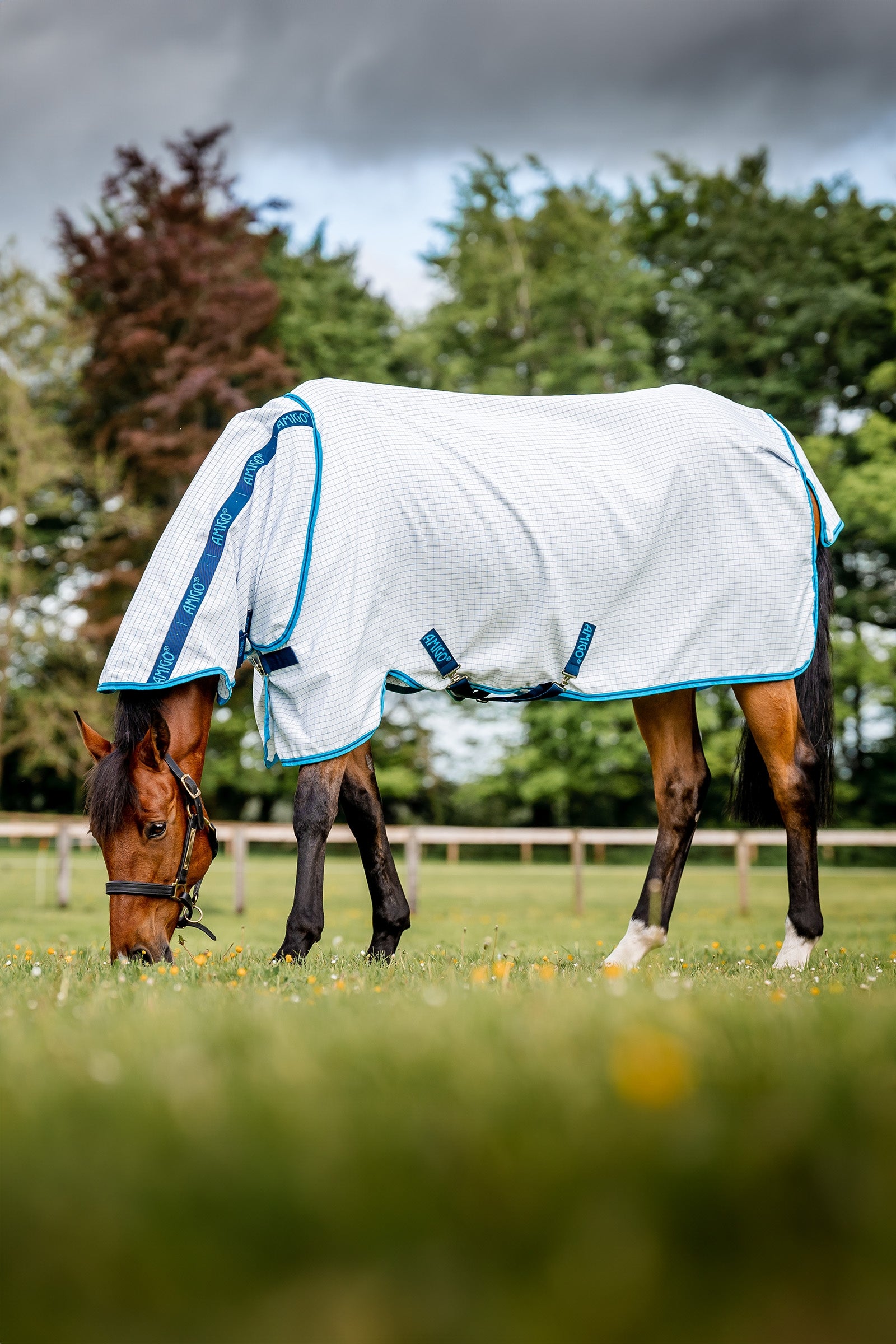 Horseware Amigo Coperta antimosche Plus Coperte per cavalli